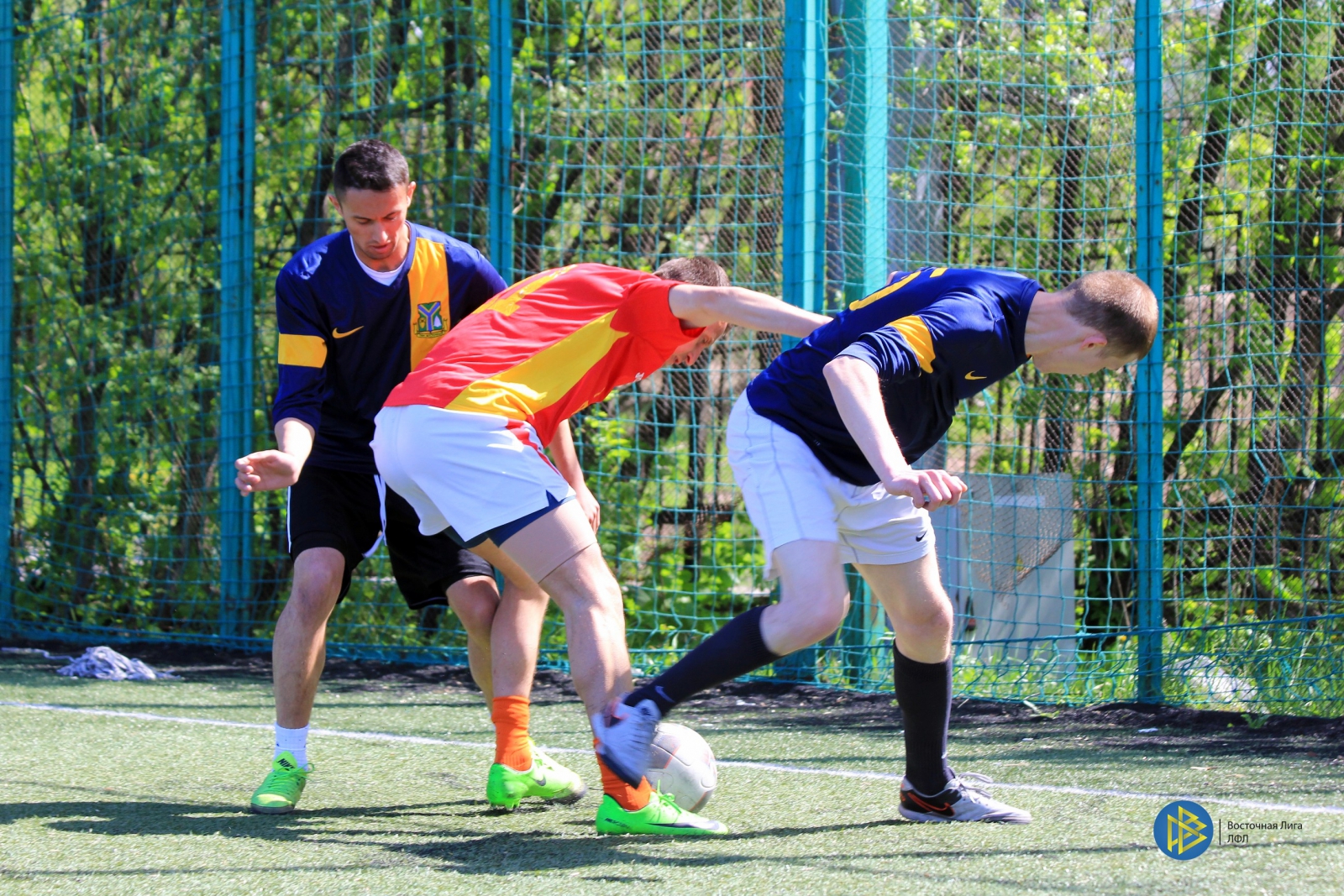 IMG_2971.jpg IMG_2971.jpg