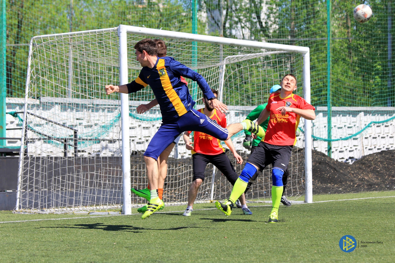 IMG_3005.jpg IMG_3005.jpg