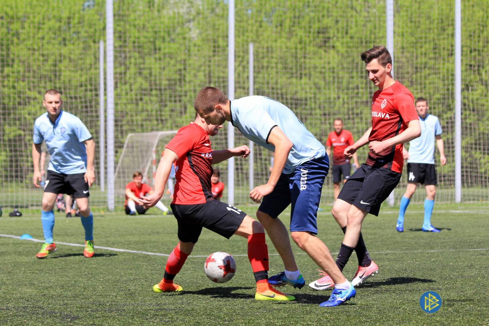 IMG_3118.jpg IMG_3118.jpg