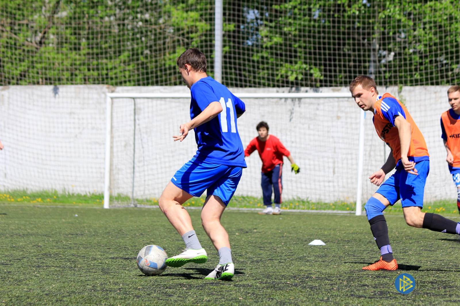 IMG_3503.jpg IMG_3503.jpg