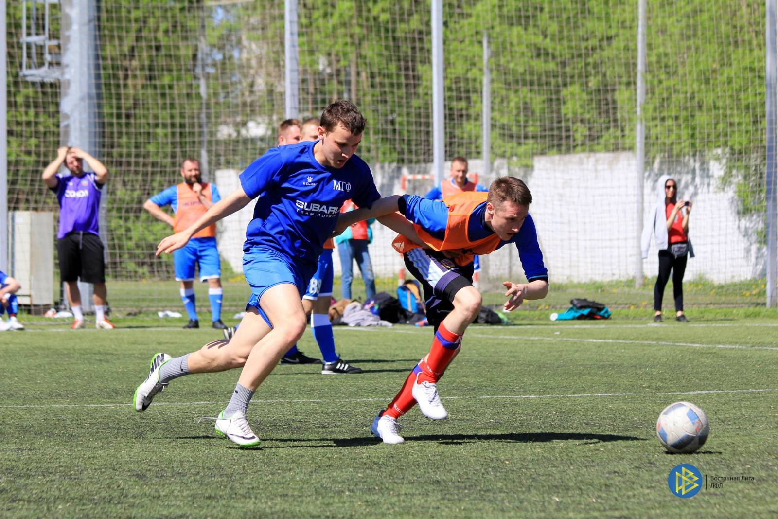 IMG_3509.jpg IMG_3509.jpg