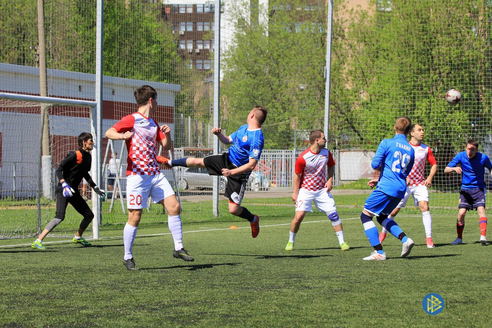 IMG_2884.jpg IMG_2884.jpg