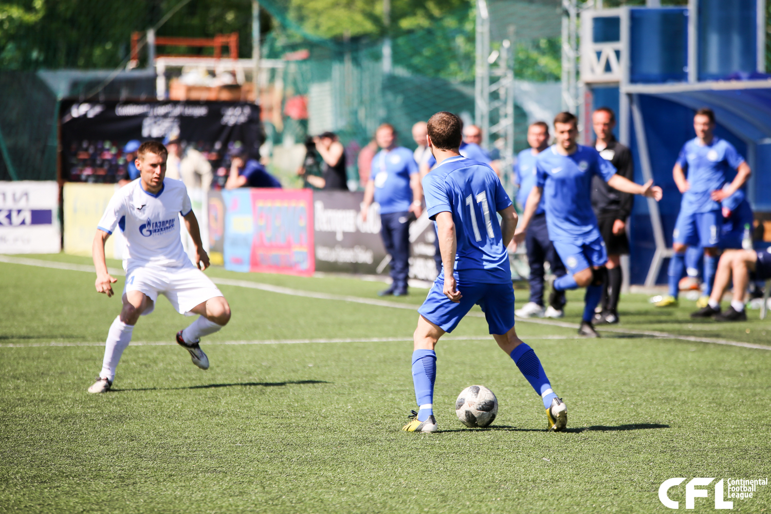 IMG_6447.jpg