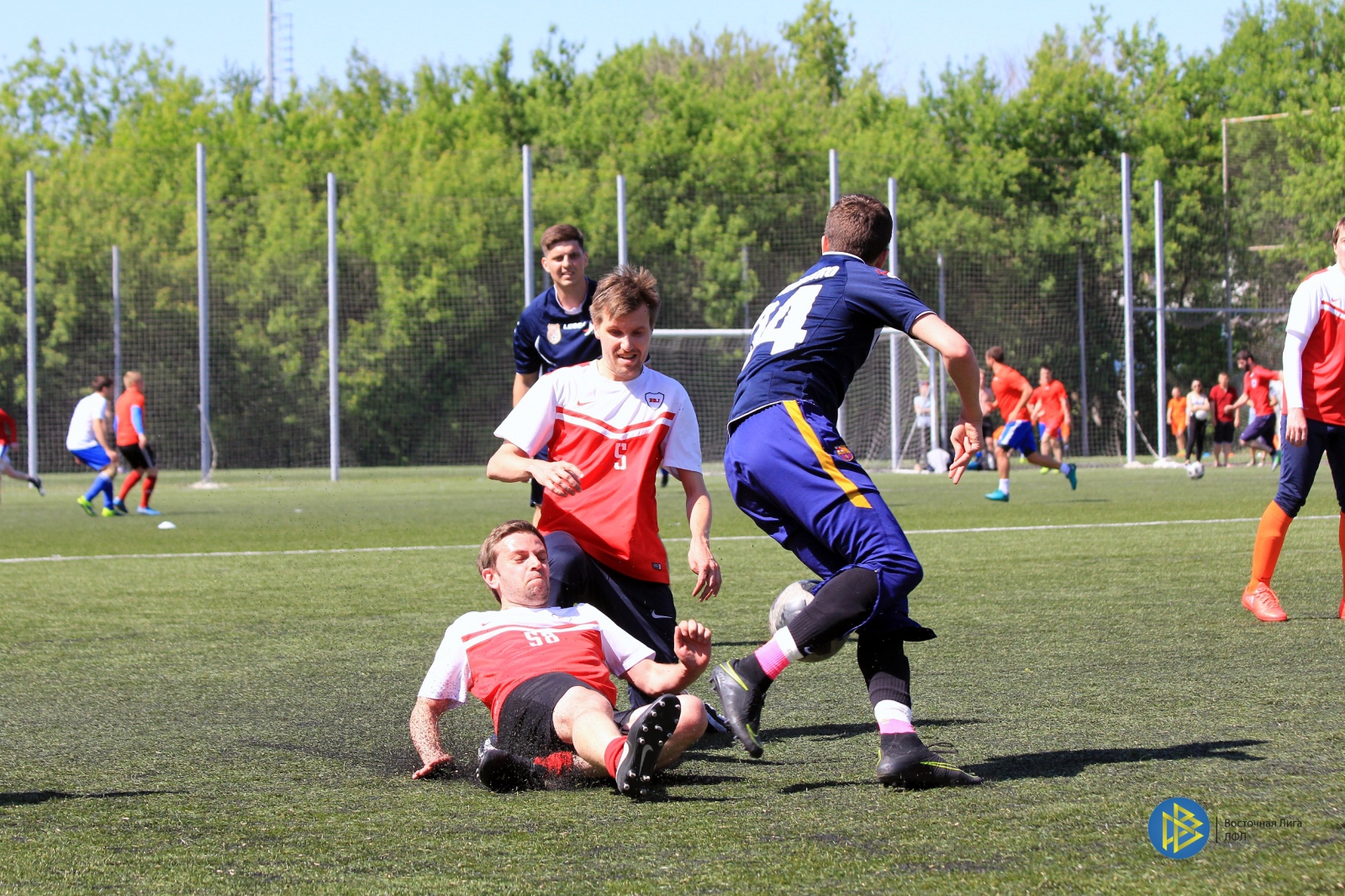 IMG_6410.jpg