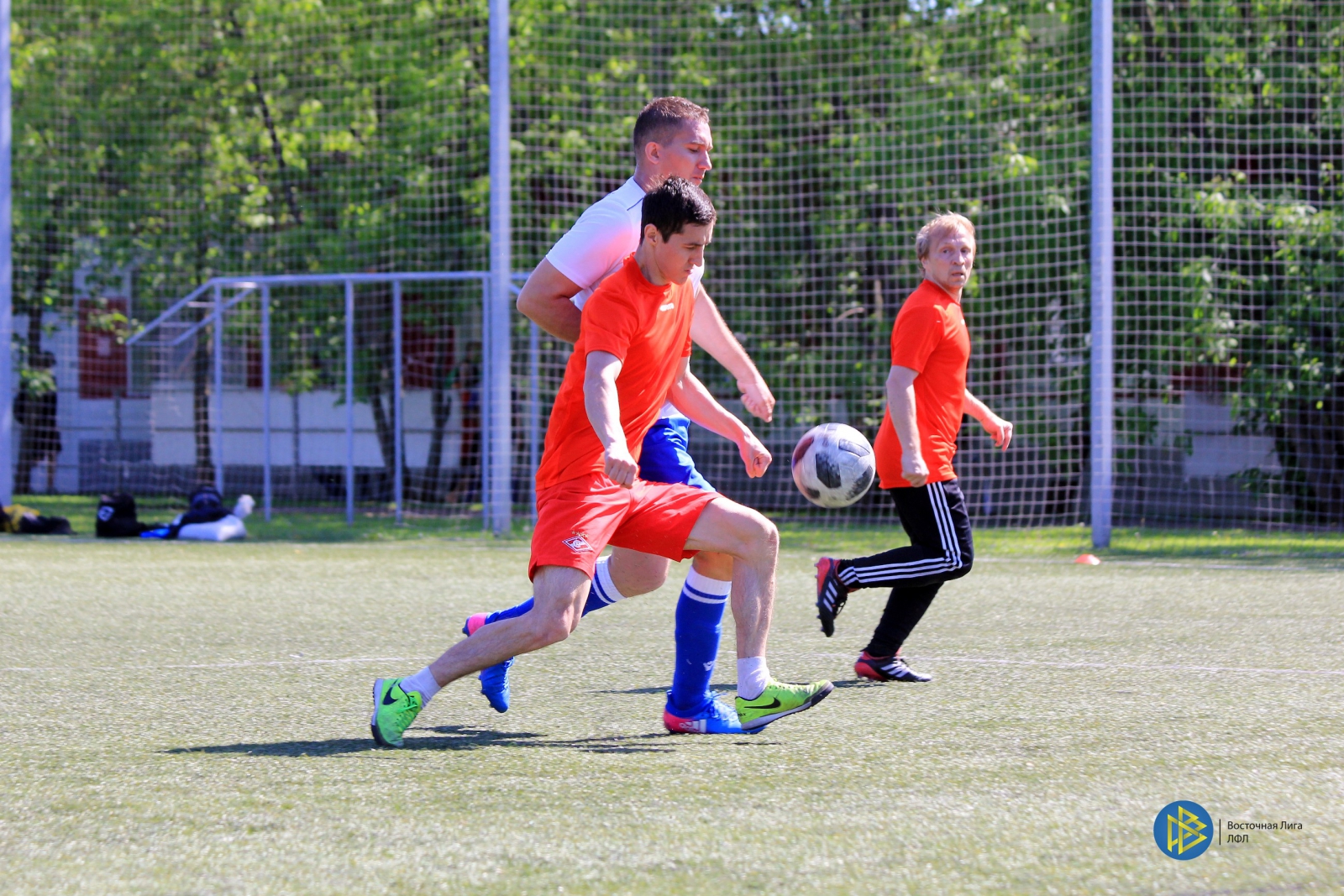 IMG_6554.jpg IMG_6554.jpg