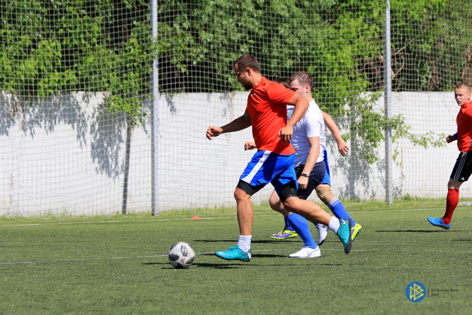 IMG_6568.jpg IMG_6568.jpg