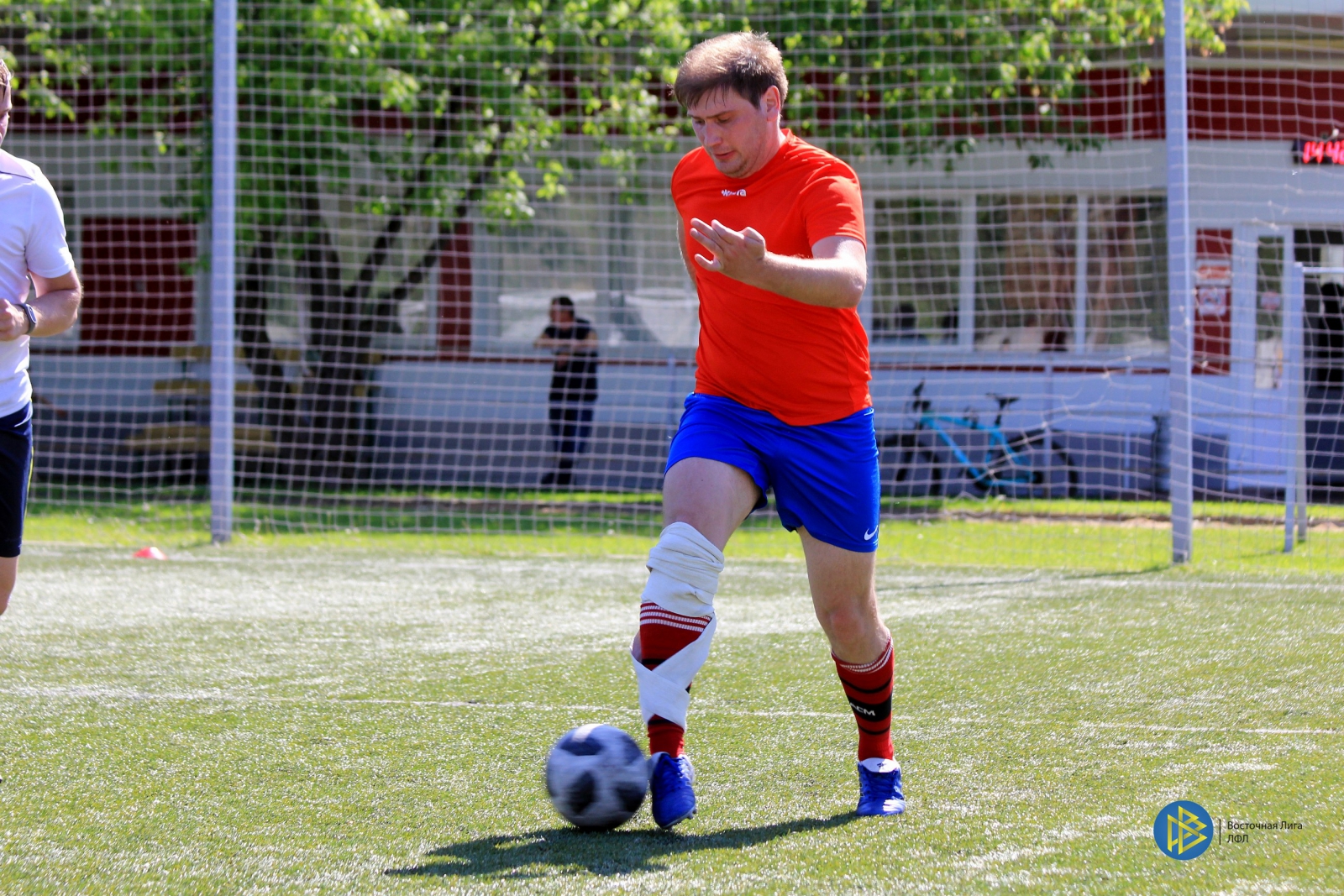 IMG_6534.jpg IMG_6534.jpg