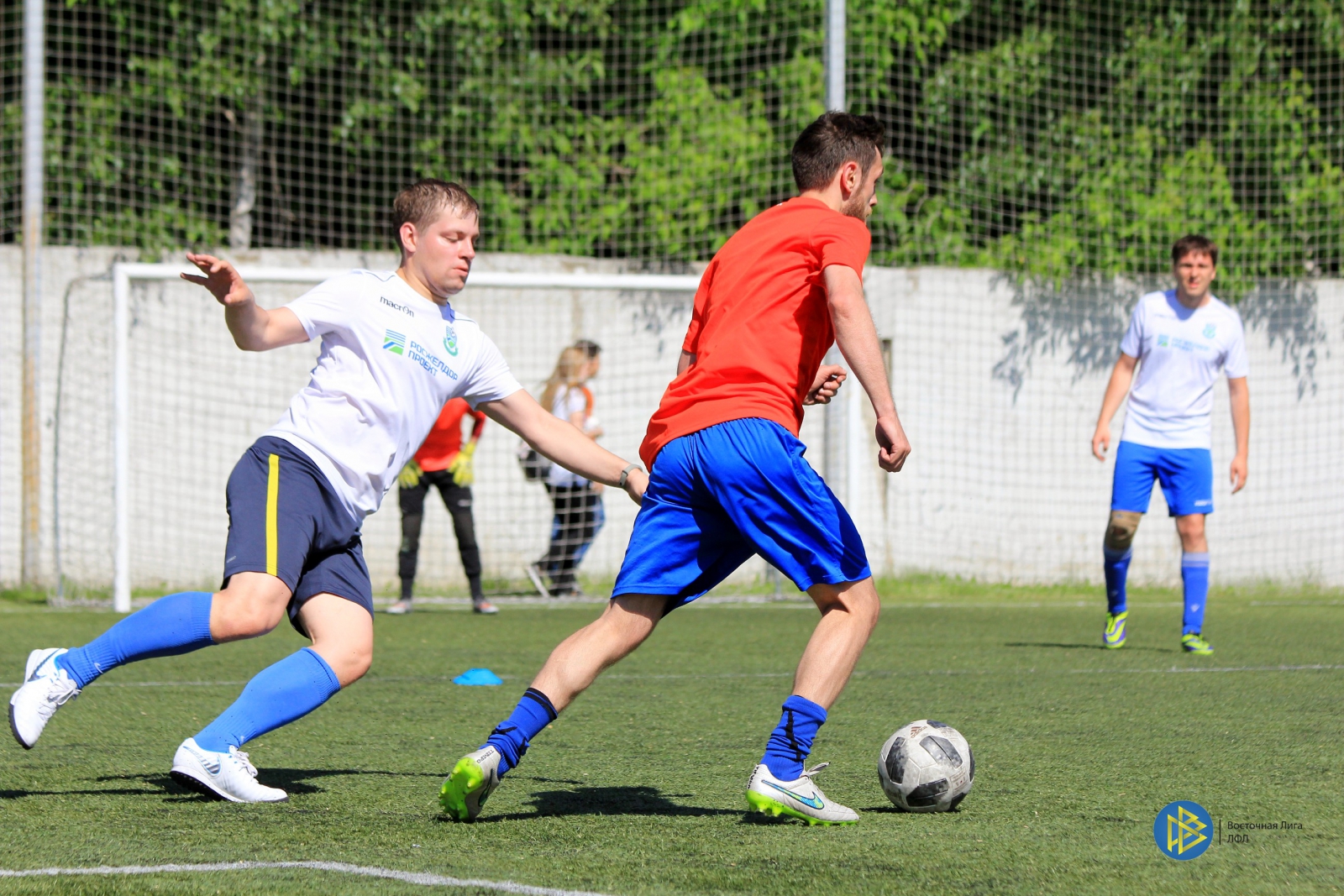 IMG_6552.jpg IMG_6552.jpg