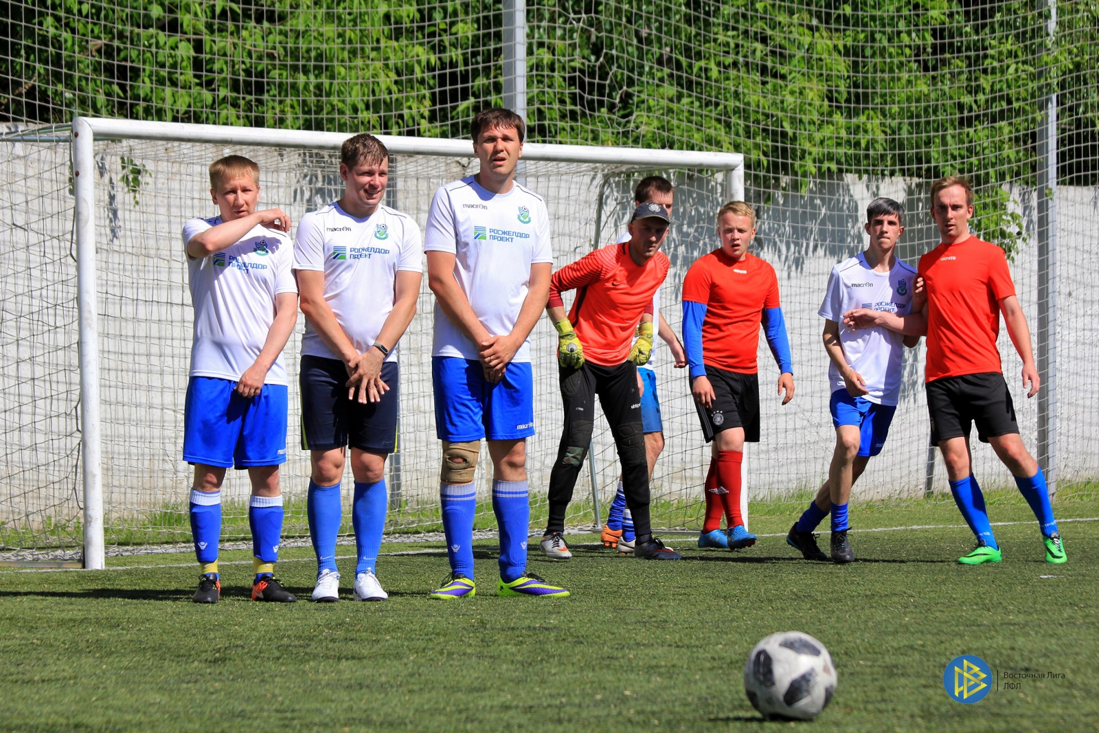 IMG_6559.jpg IMG_6559.jpg