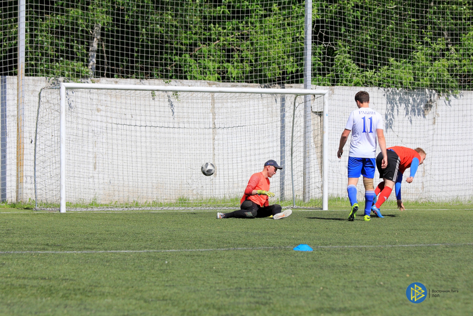 IMG_6565.jpg IMG_6565.jpg