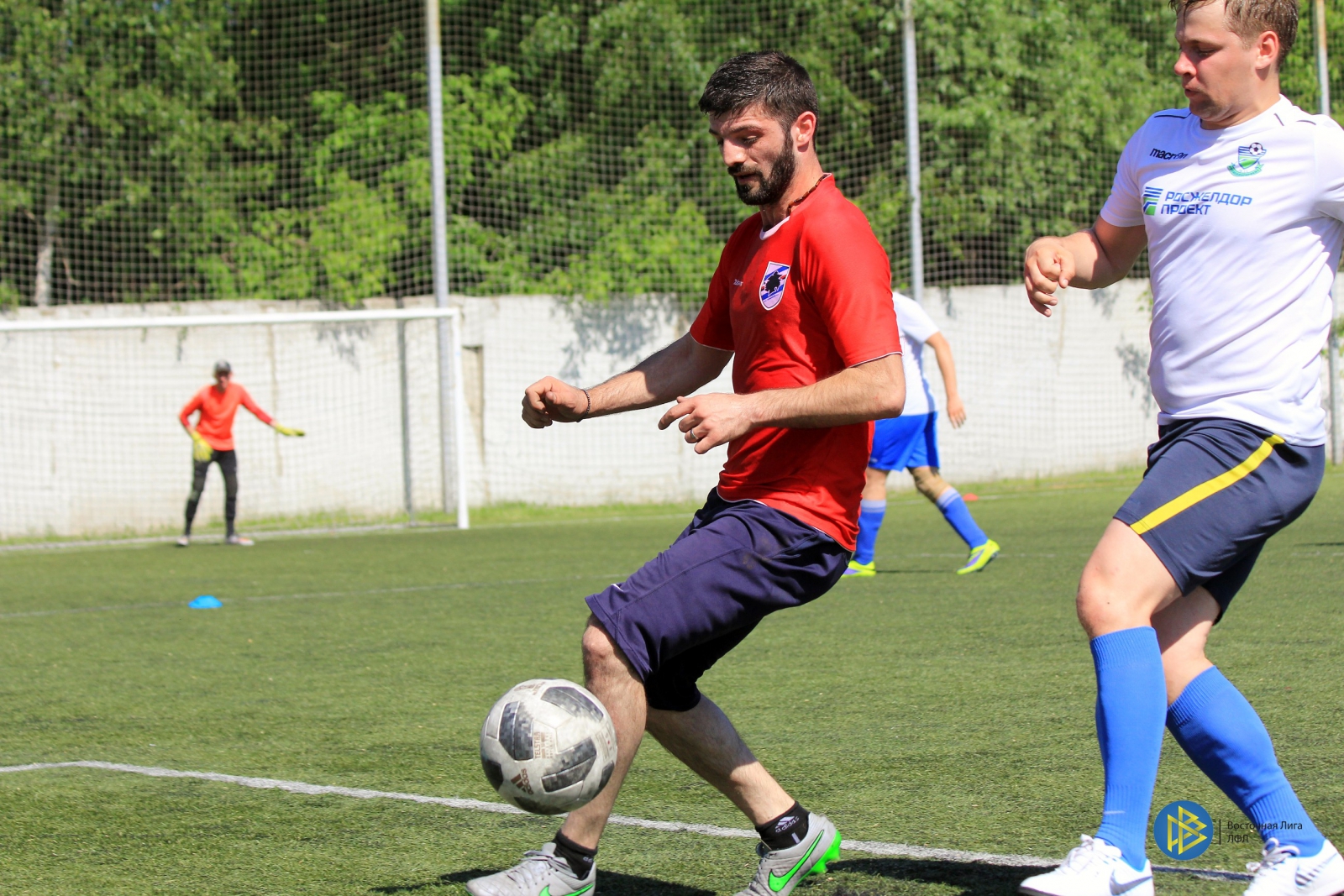 IMG_6550.jpg IMG_6550.jpg