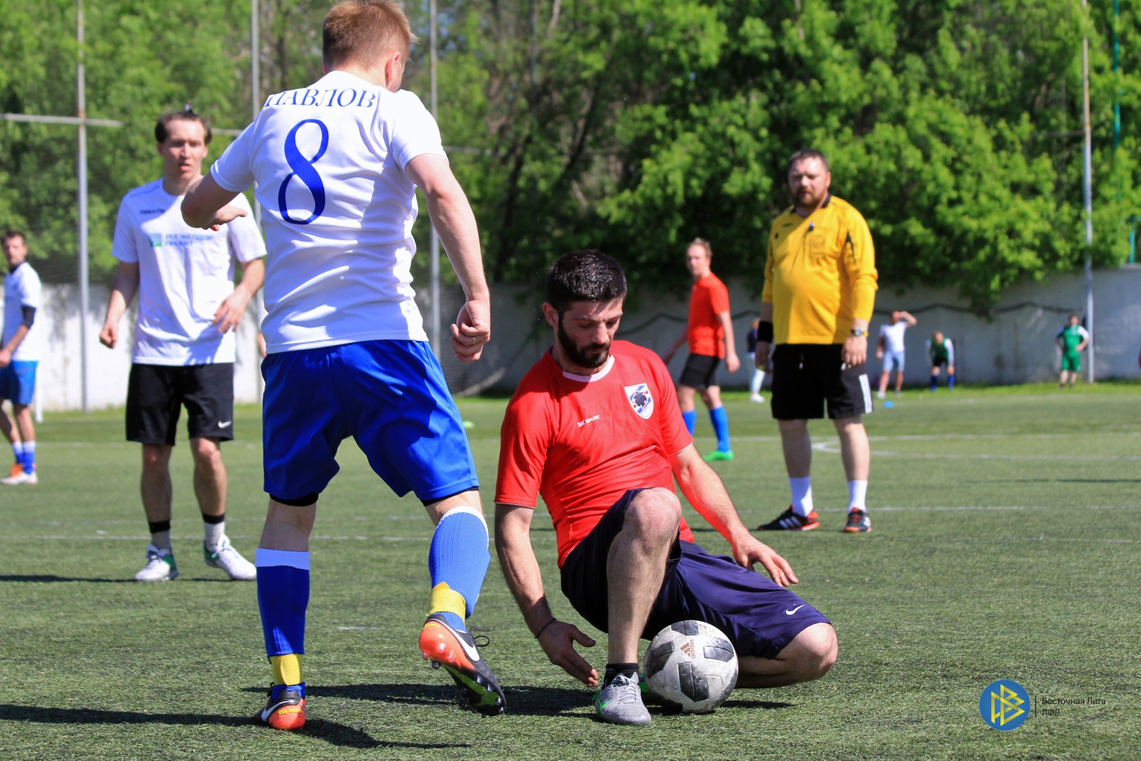 IMG_6545.jpg IMG_6545.jpg