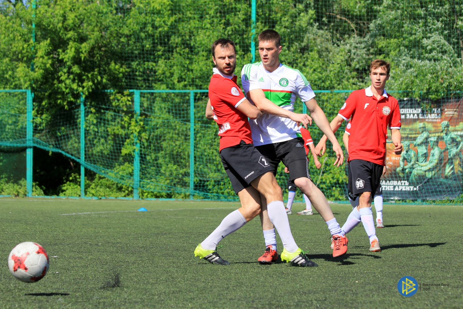 IMG_6660.jpg
