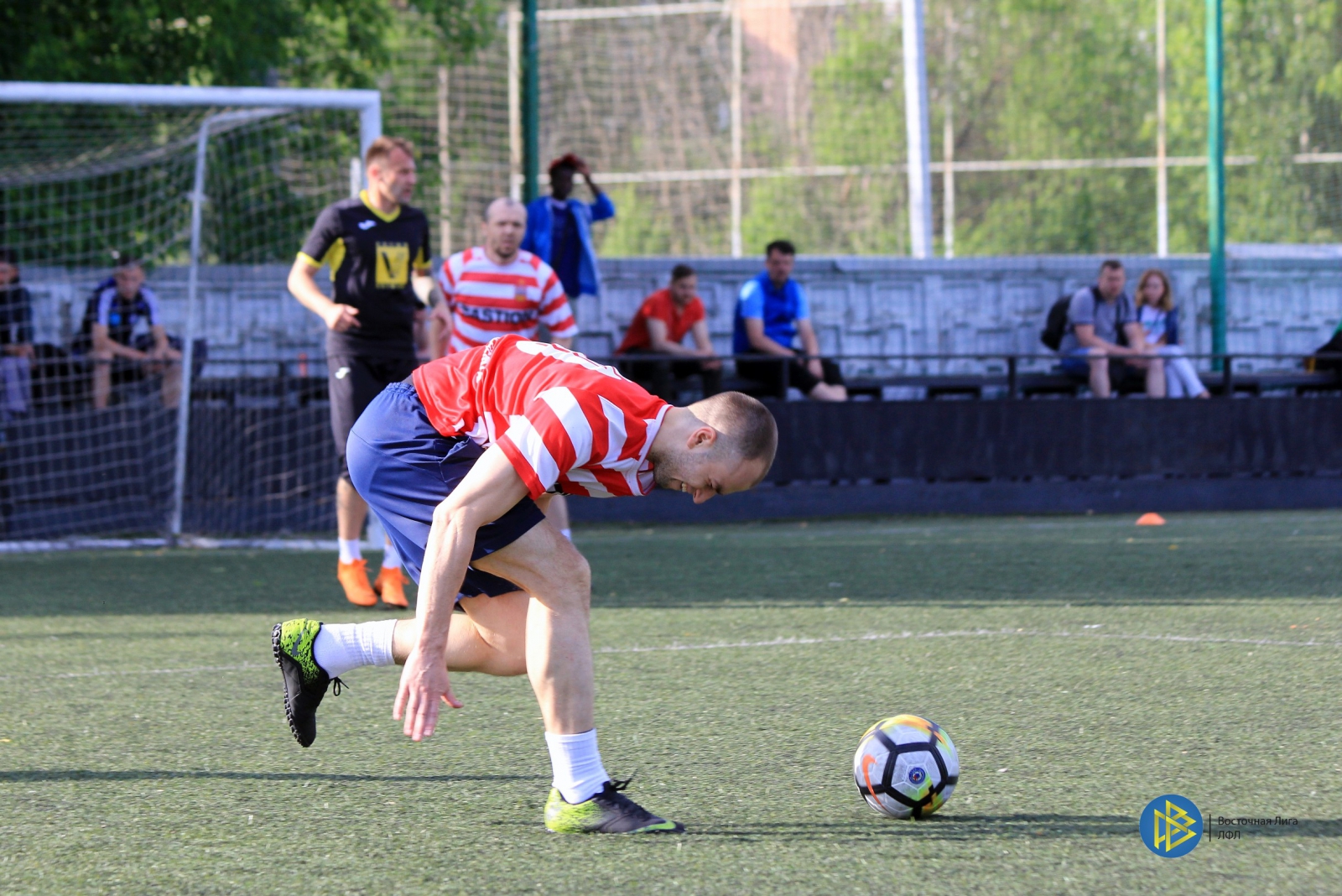 IMG_7218.jpg