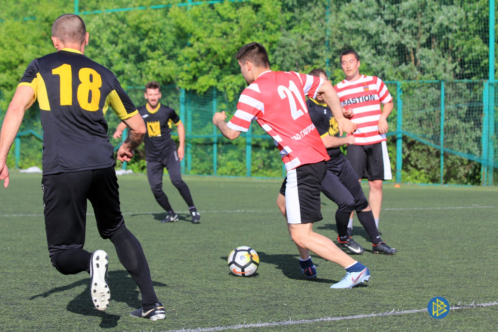 IMG_7209.jpg