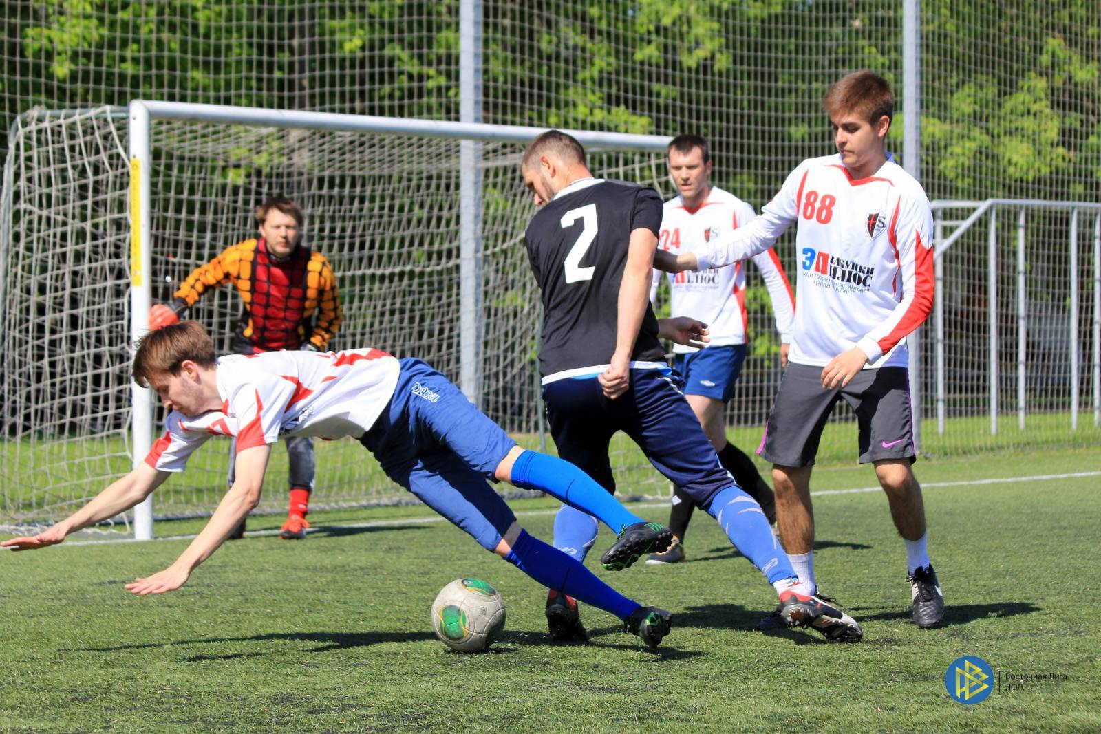 IMG_7366.jpg IMG_7366.jpg