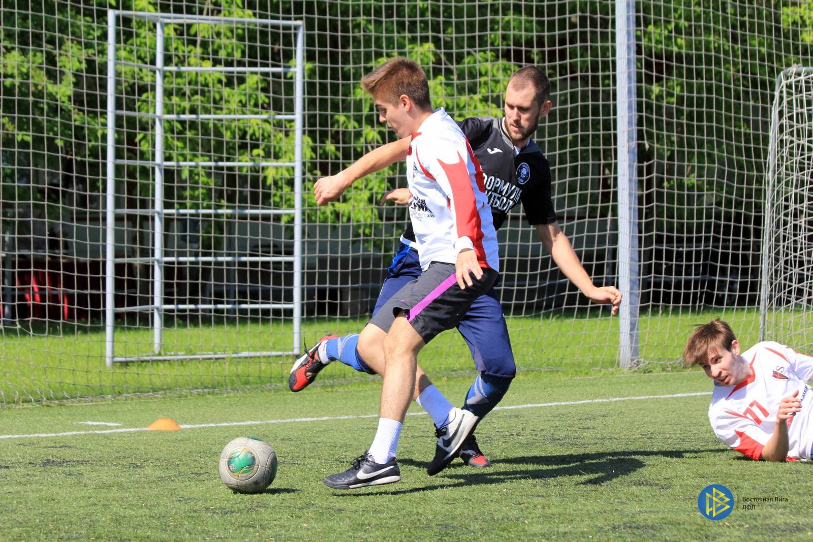 IMG_7368.jpg IMG_7368.jpg