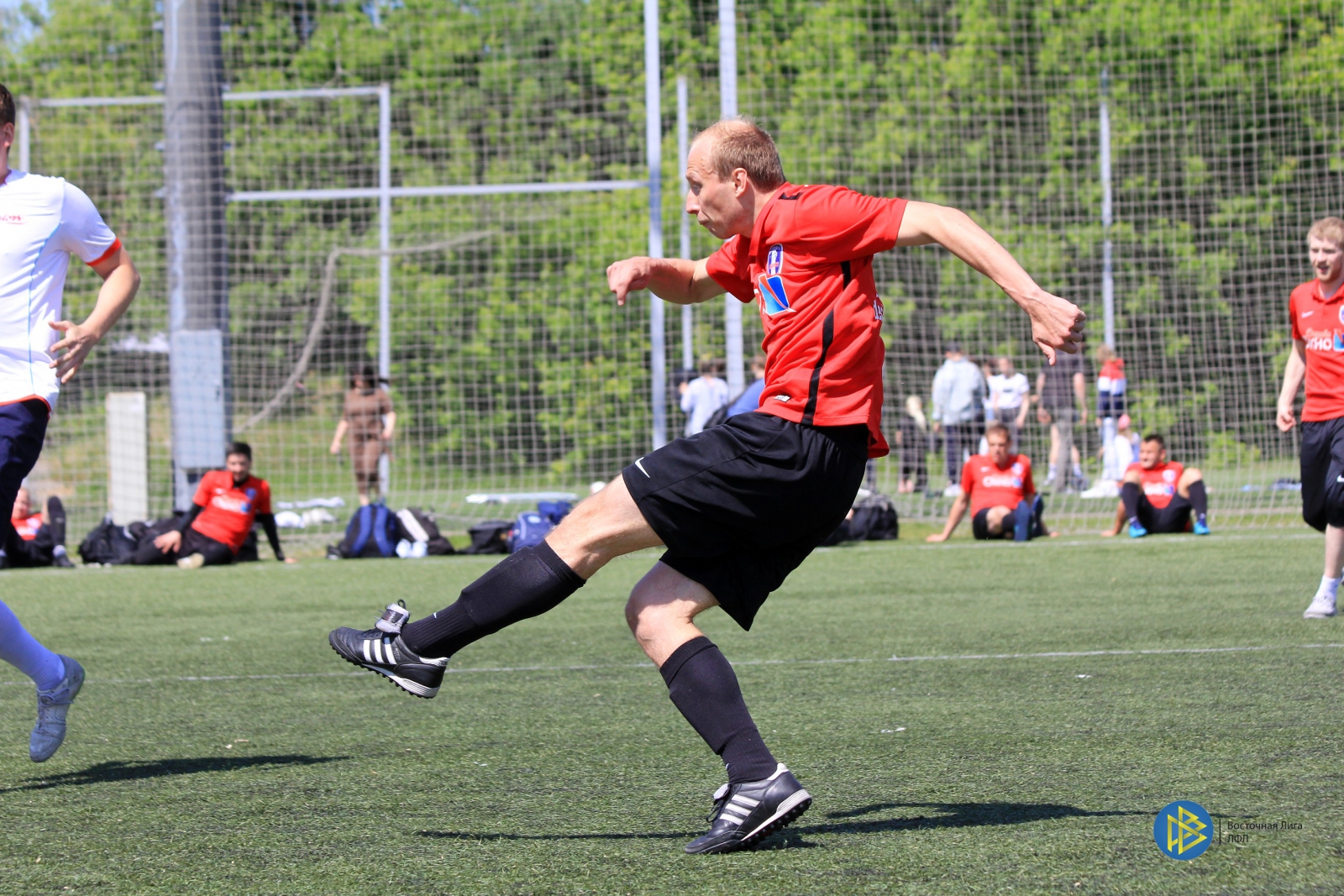 IMG_7837.jpg