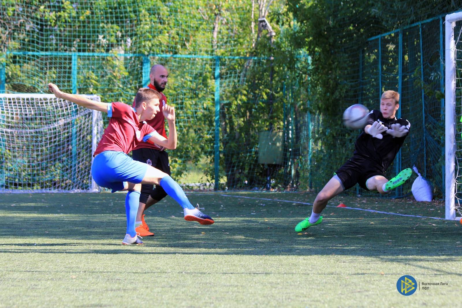 IMG_6377.jpg IMG_6377.jpg