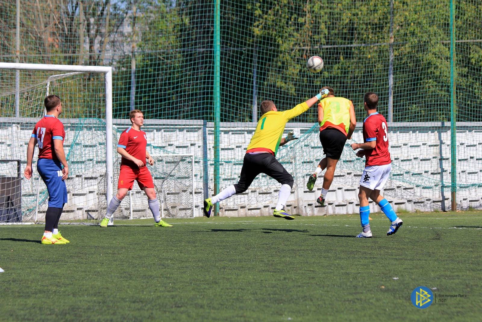 IMG_6390.jpg IMG_6390.jpg