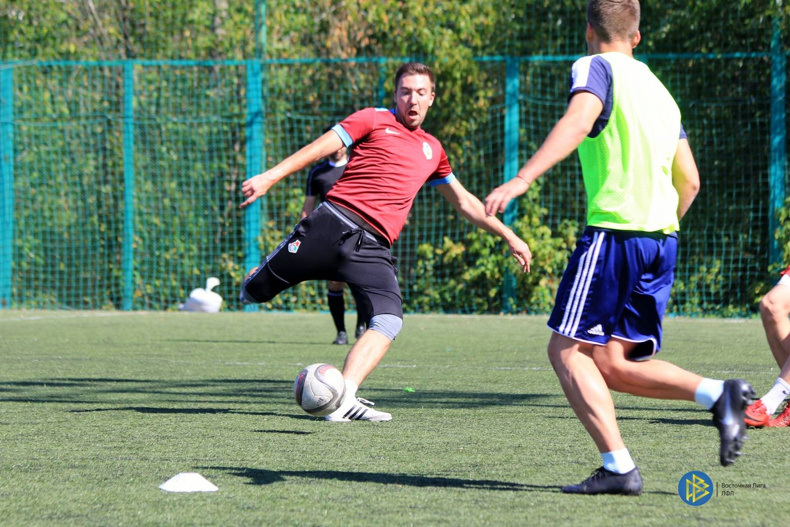 IMG_6374.jpg IMG_6374.jpg