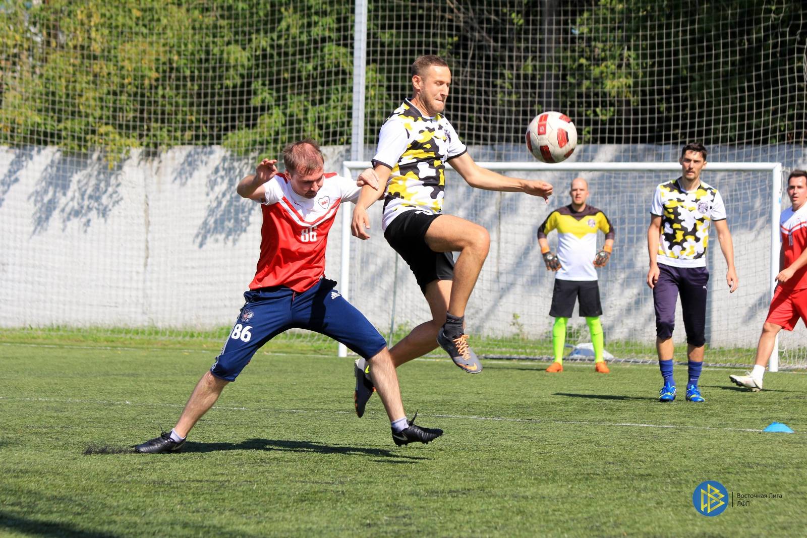 IMG_6545.jpg IMG_6545.jpg