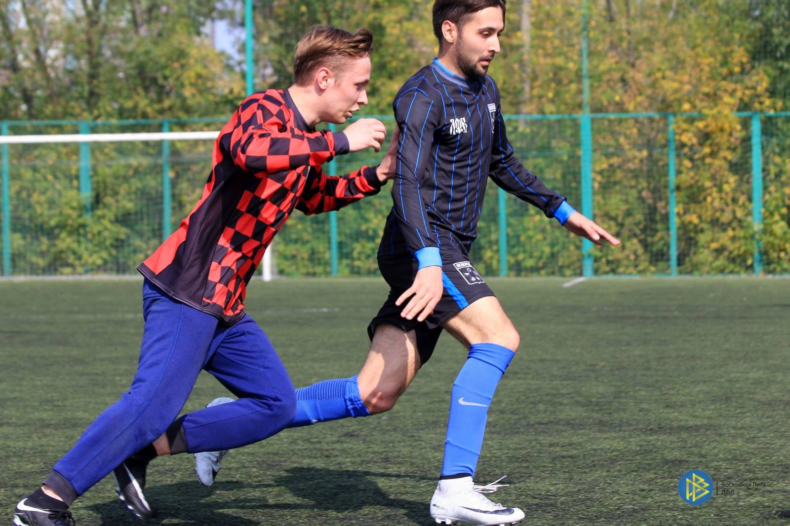 IMG_7896.jpg IMG_7896.jpg