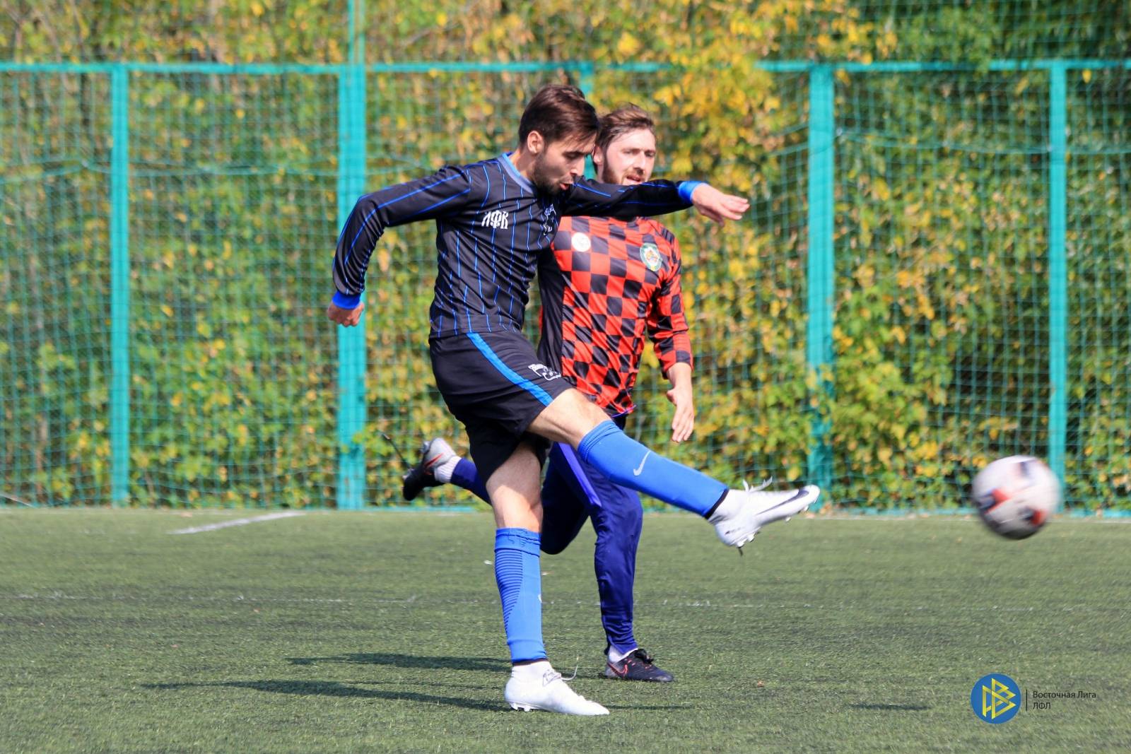 IMG_7816.jpg IMG_7816.jpg