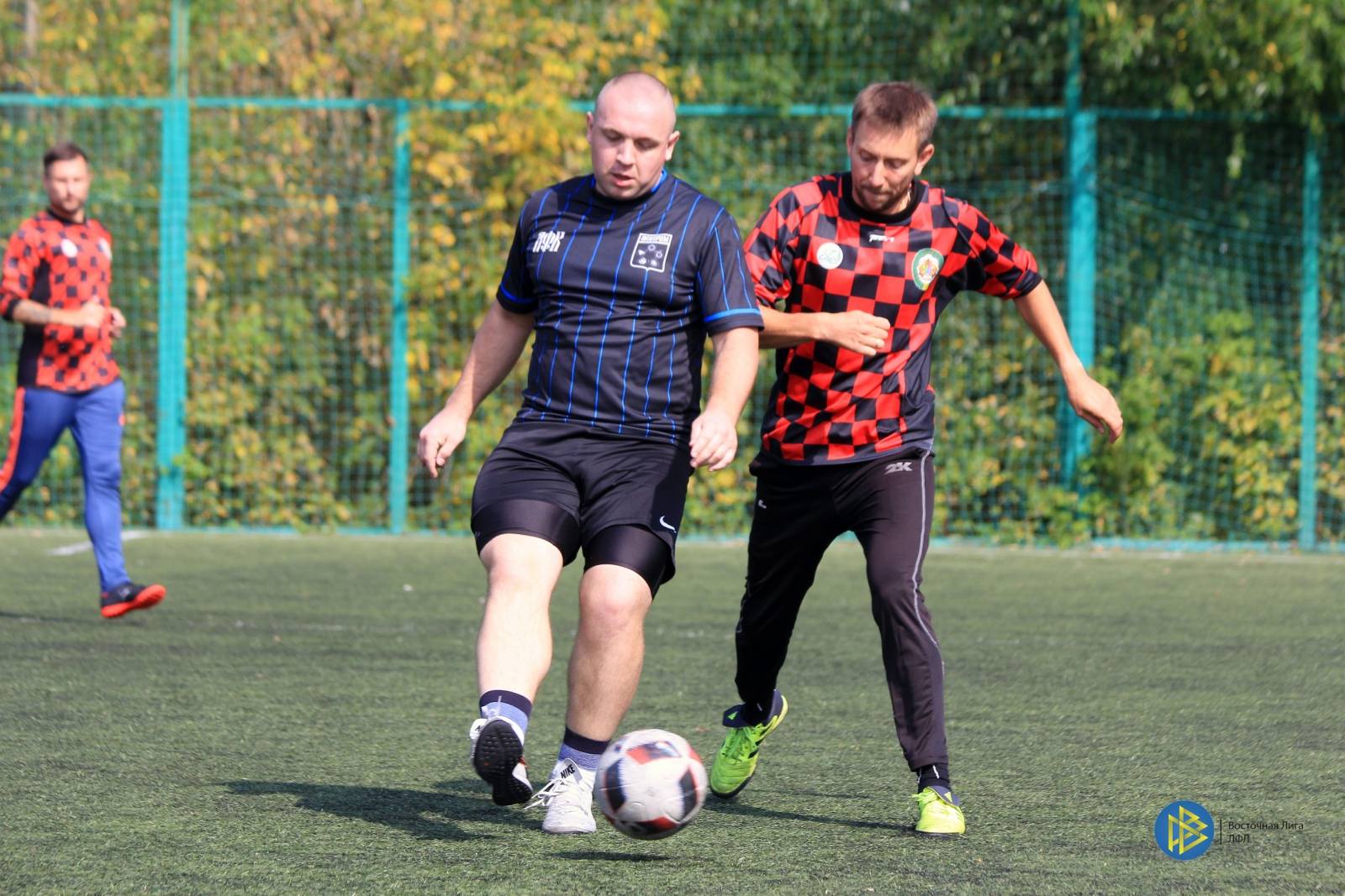 IMG_7819.jpg IMG_7819.jpg