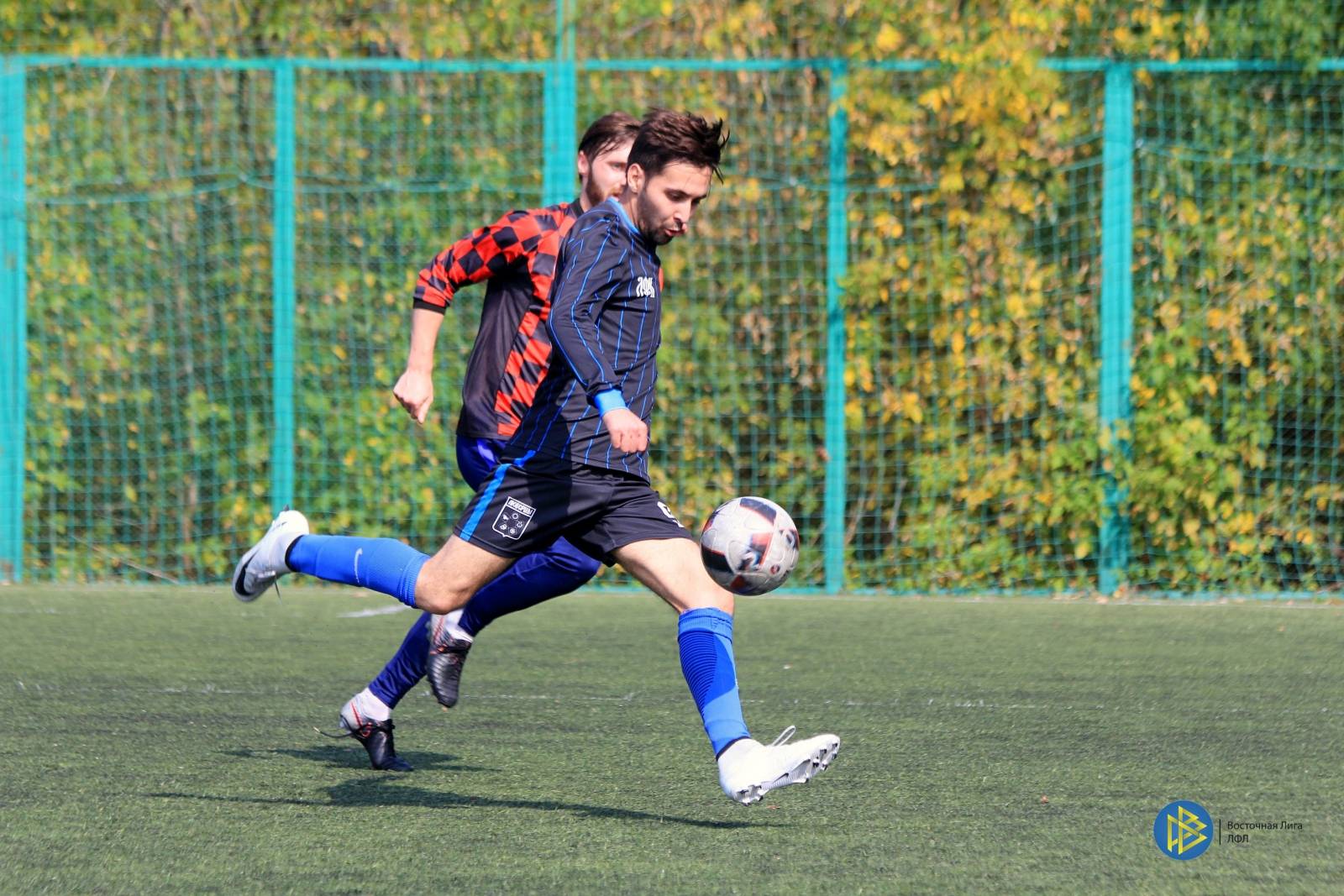 IMG_7815.jpg IMG_7815.jpg