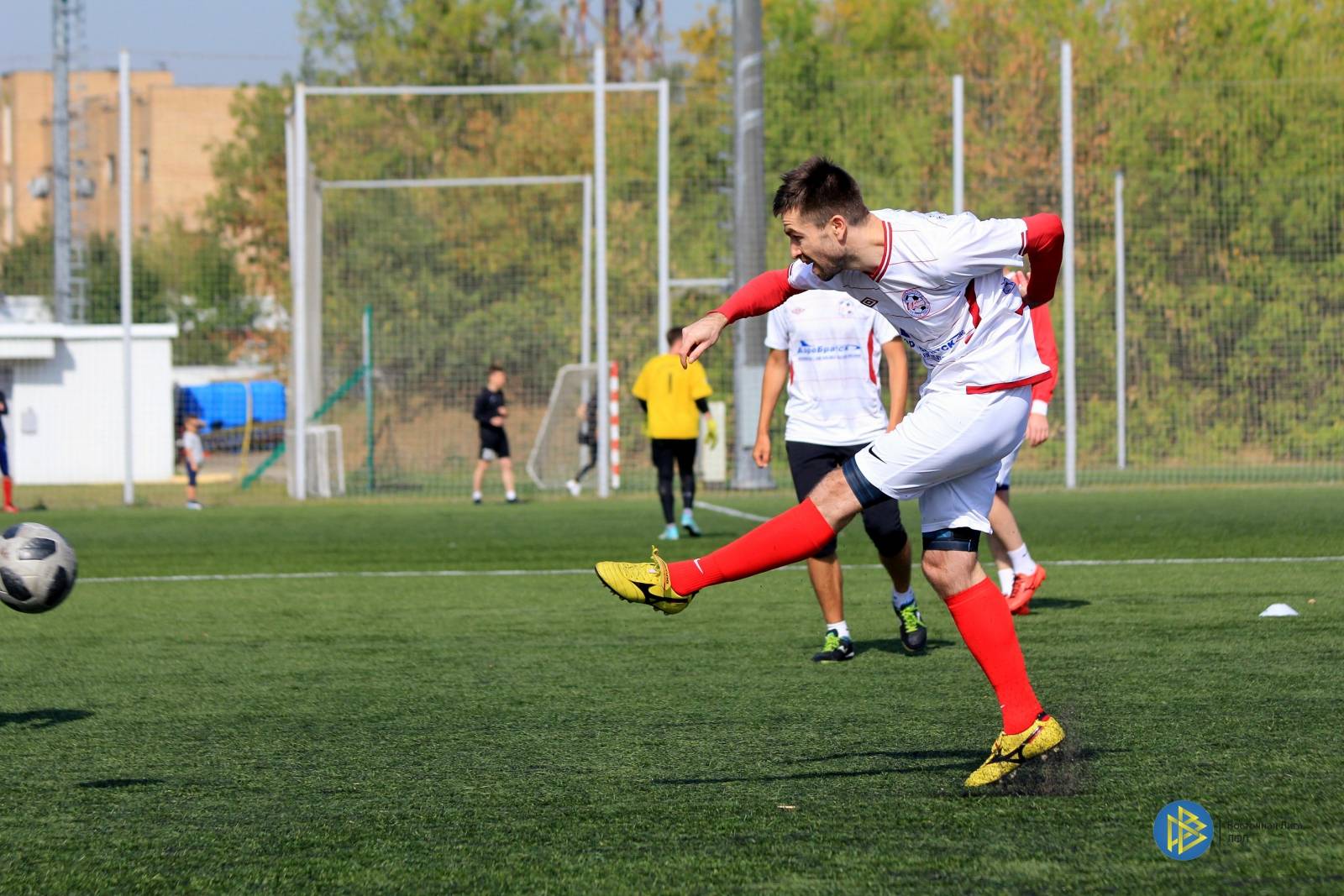 IMG_8384.jpg IMG_8384.jpg