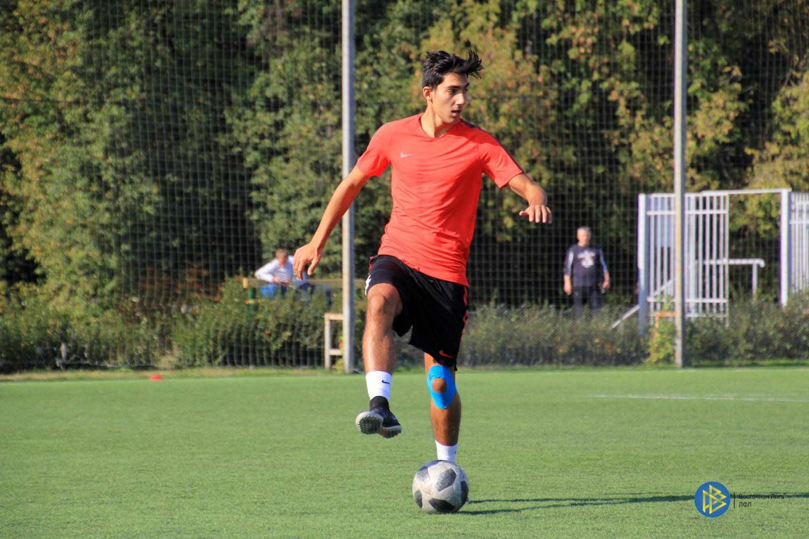 IMG_0646.jpg IMG_0646.jpg