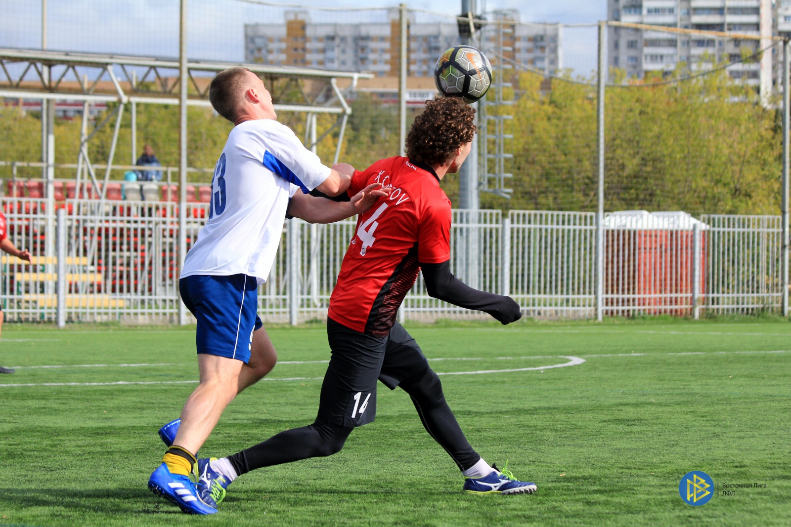 IMG_4872.jpg
