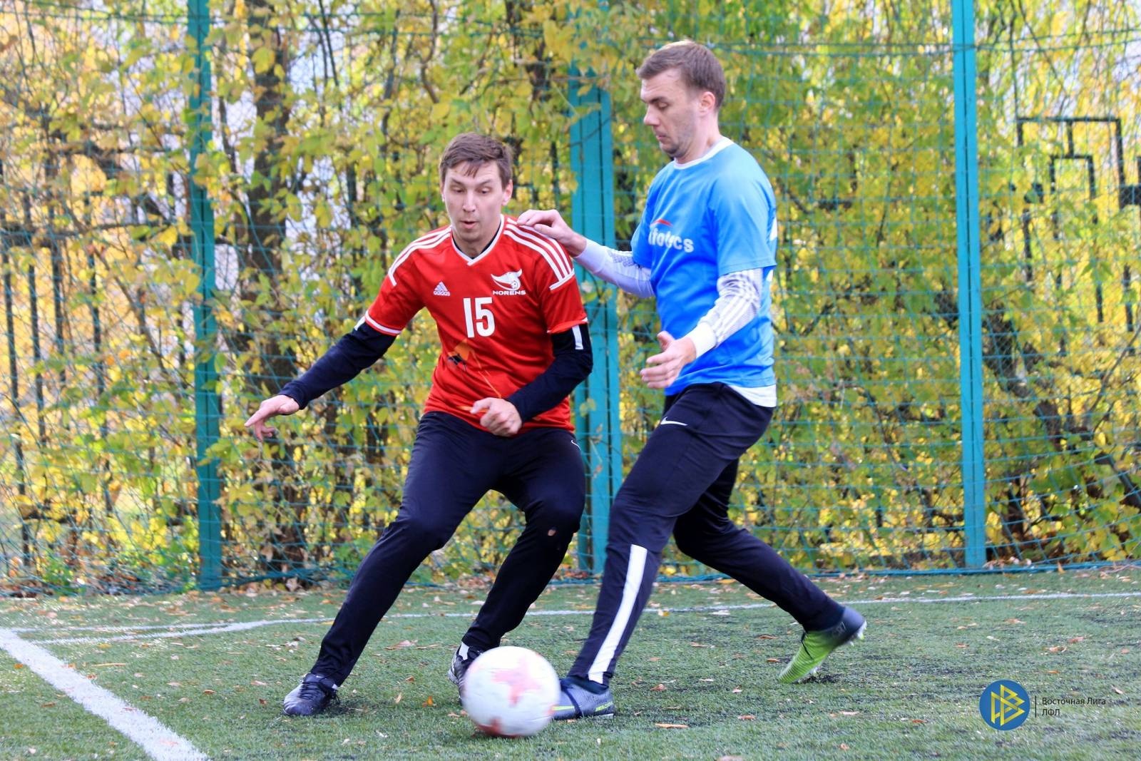 IMG_6895.jpg IMG_6895.jpg