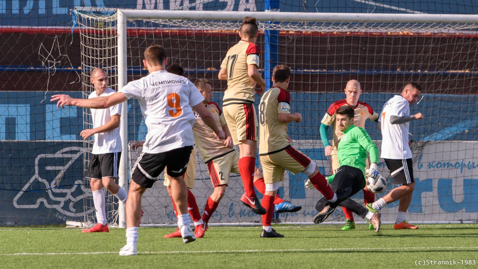 Championat Vs Transgarant 51