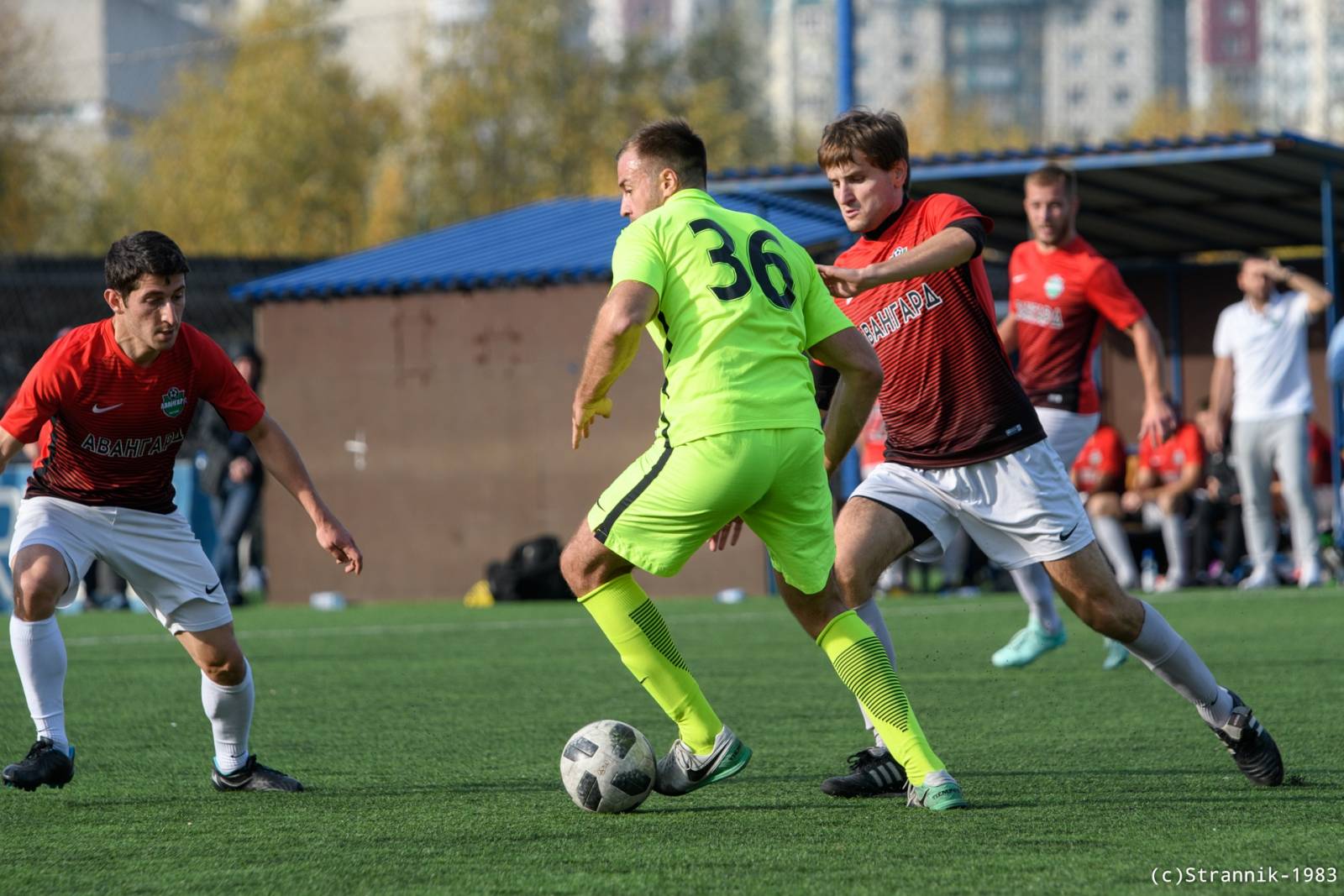 Pischevik Vs Avangard 56