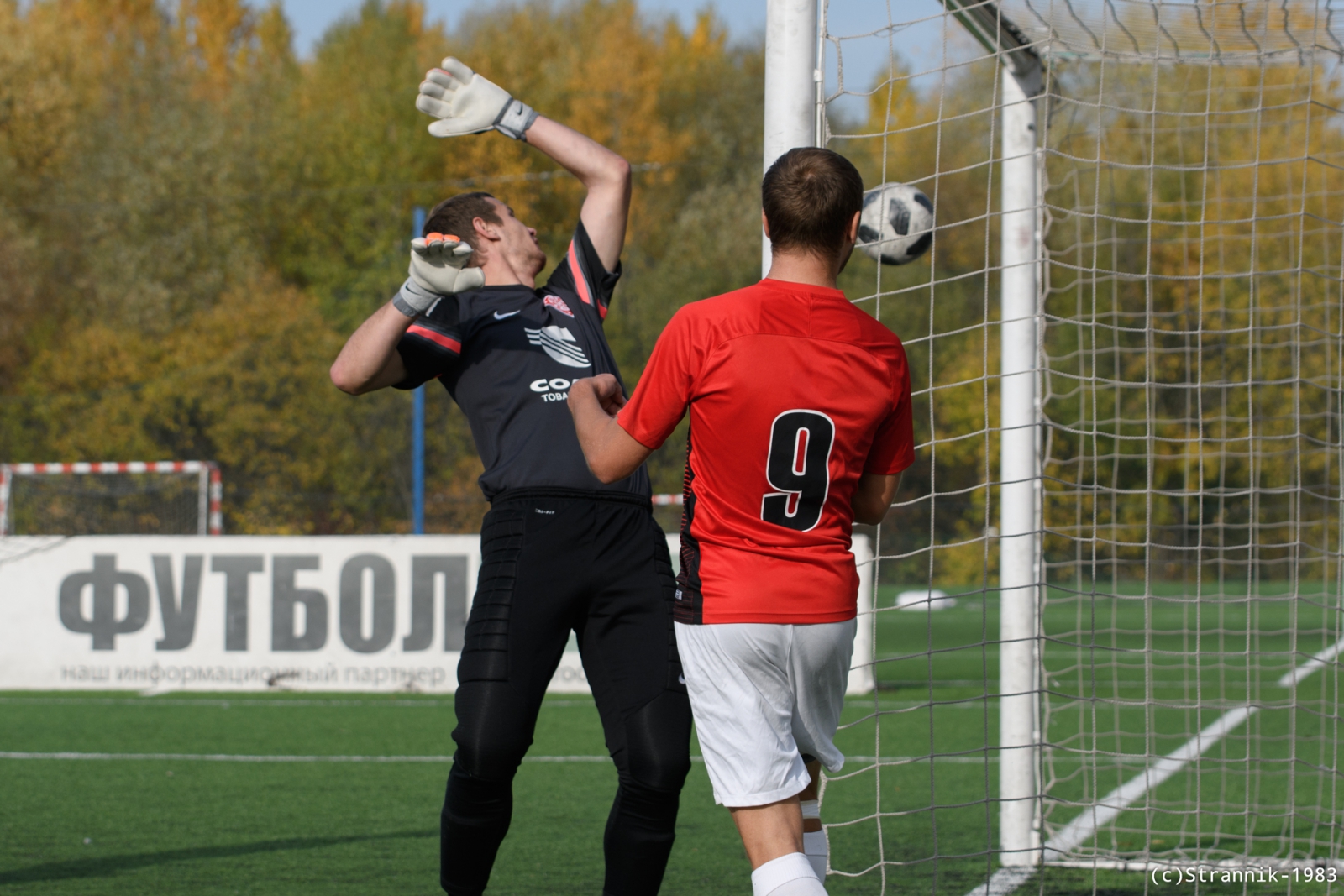 Pischevik Vs Avangard 19