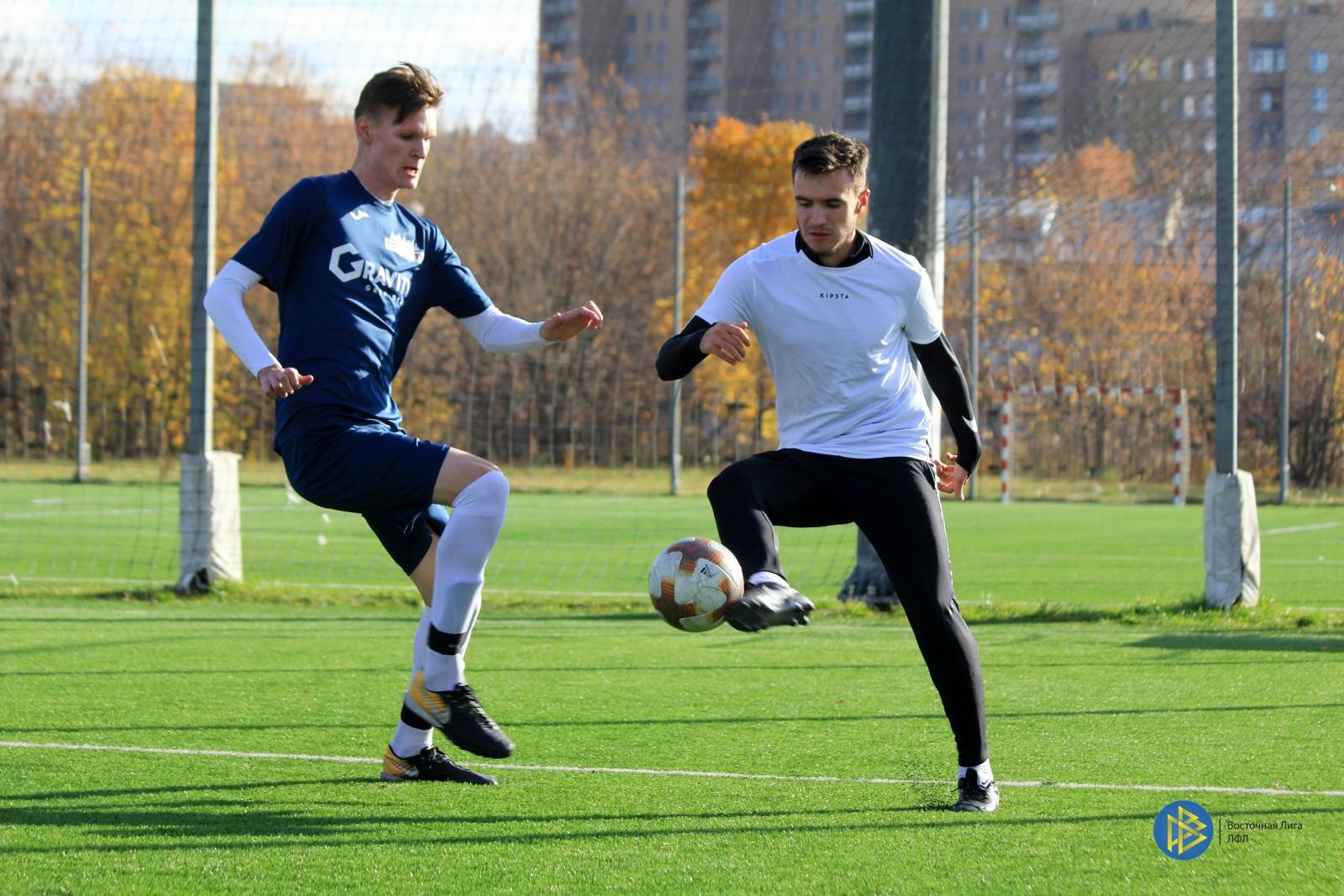 IMG_8130.jpg IMG_8130.jpg