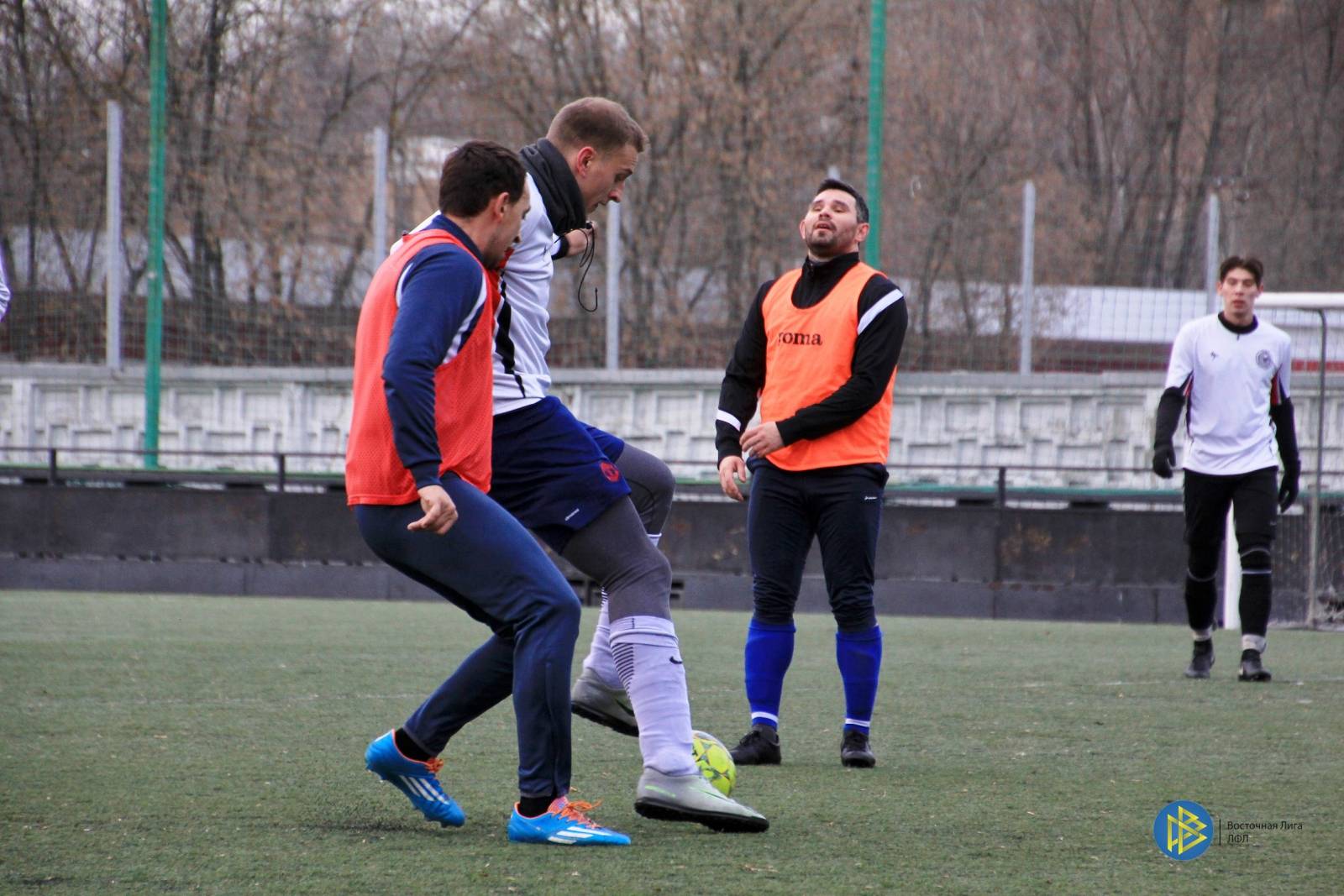 IMG_6517.jpg IMG_6517.jpg