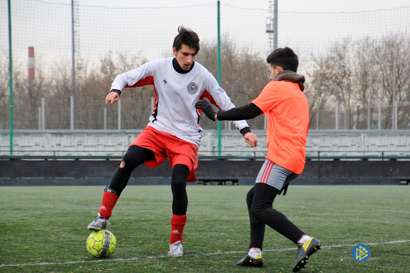 IMG_6538.jpg IMG_6538.jpg