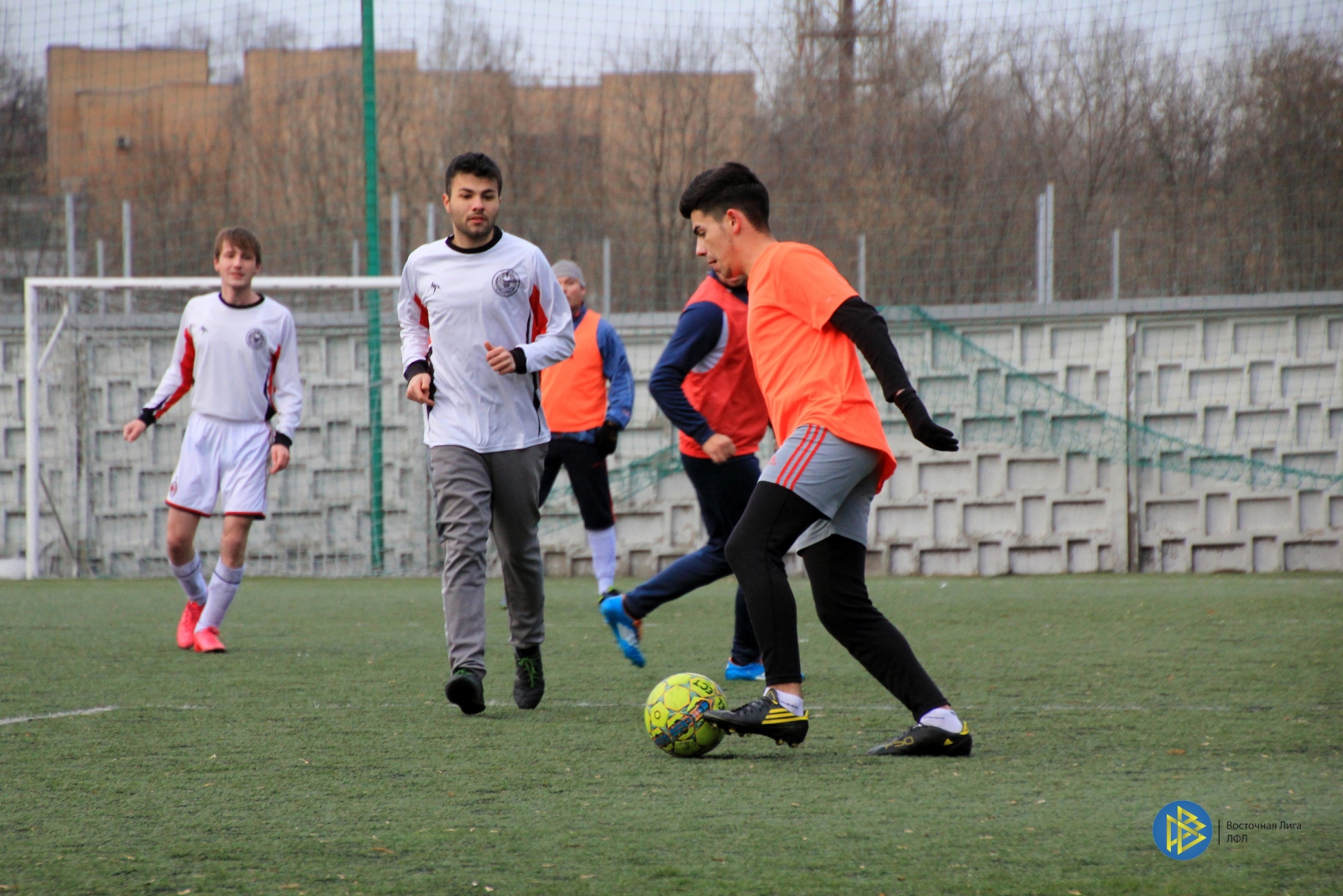 IMG_6478.jpg IMG_6478.jpg