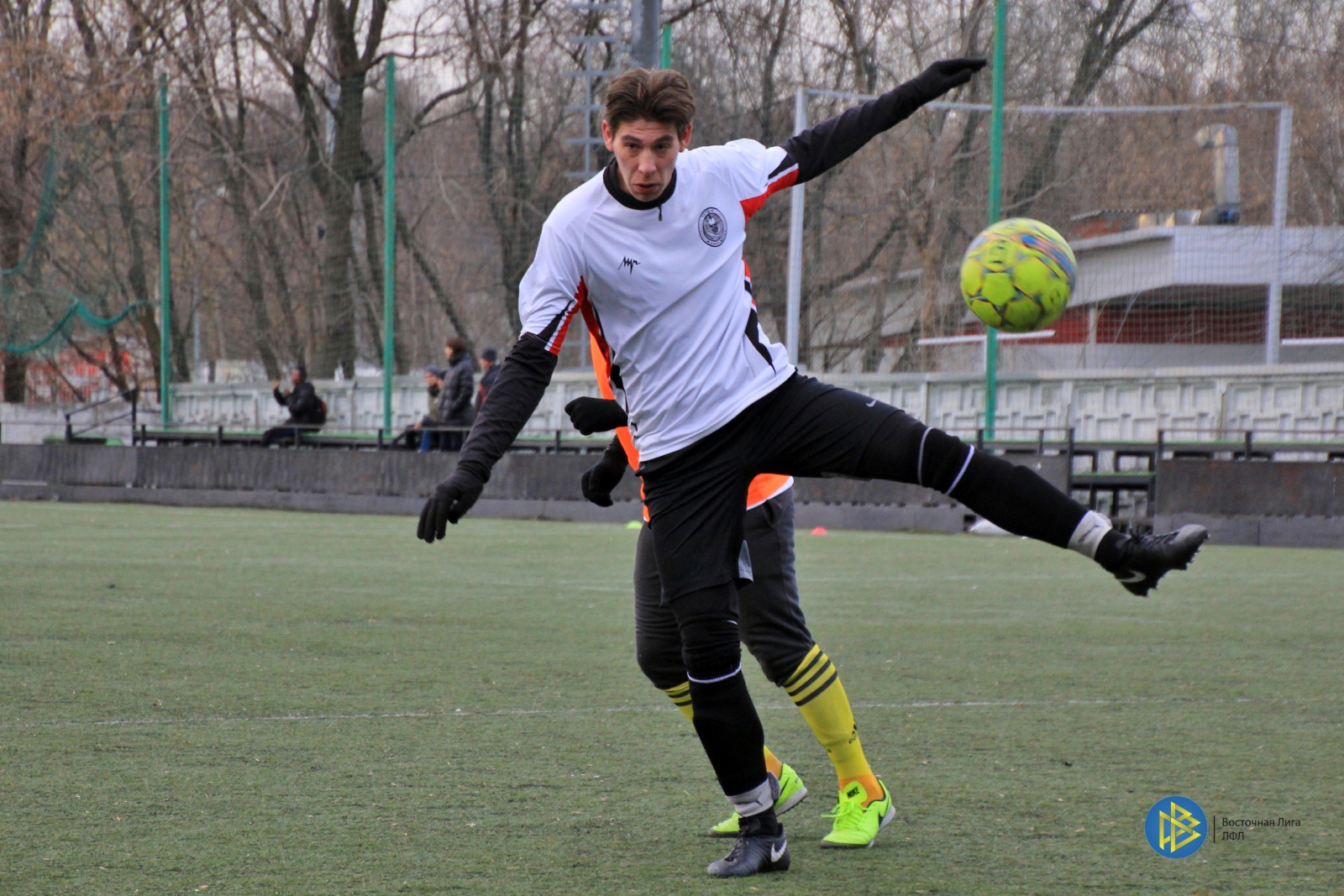 IMG_6533.jpg IMG_6533.jpg