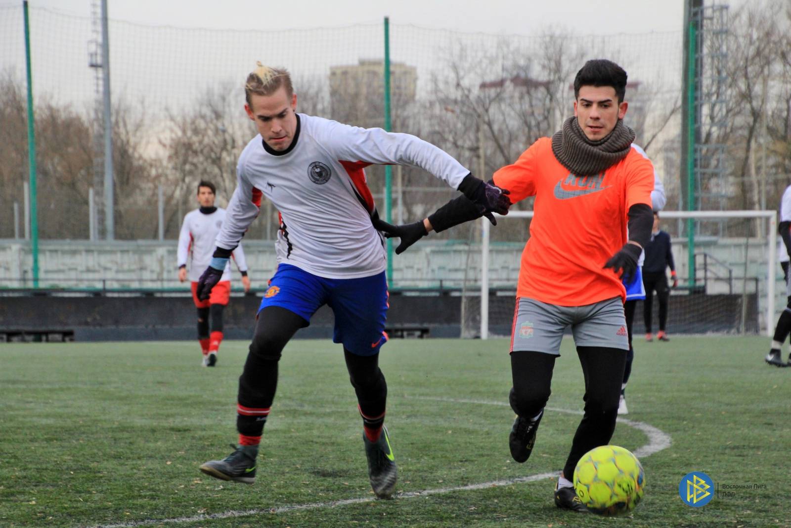 IMG_6547.jpg IMG_6547.jpg