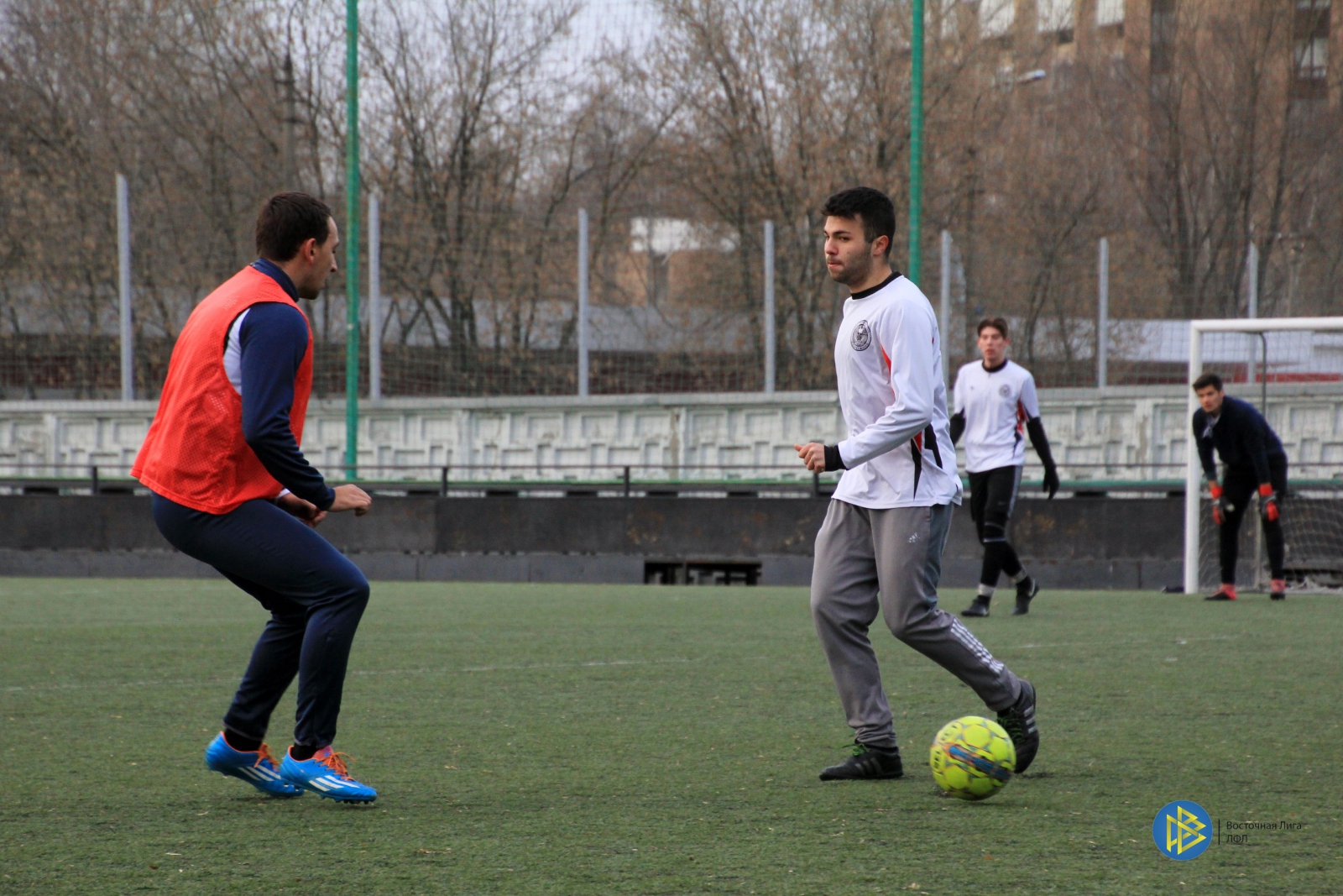 IMG_6480.jpg IMG_6480.jpg