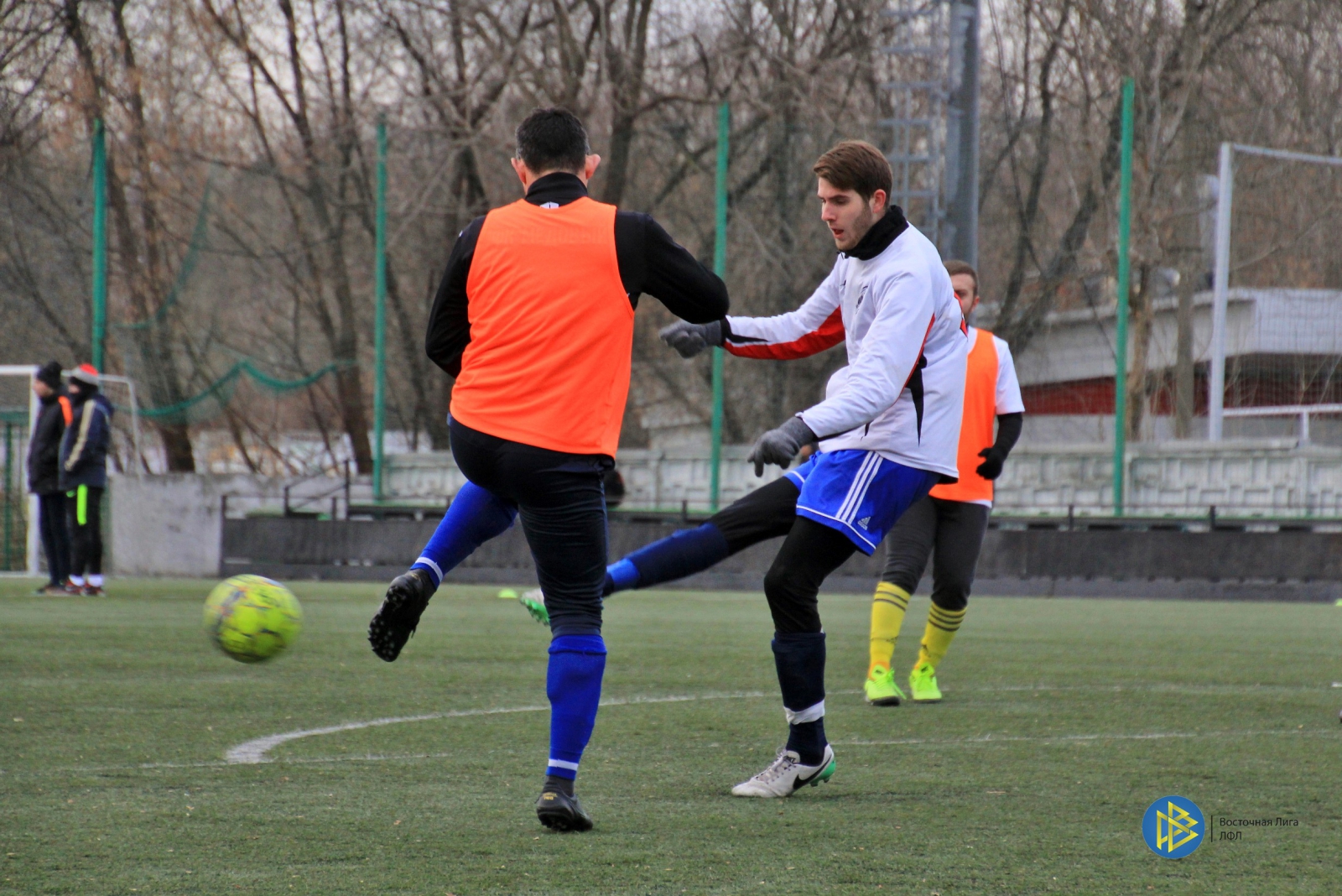 IMG_6522.jpg IMG_6522.jpg