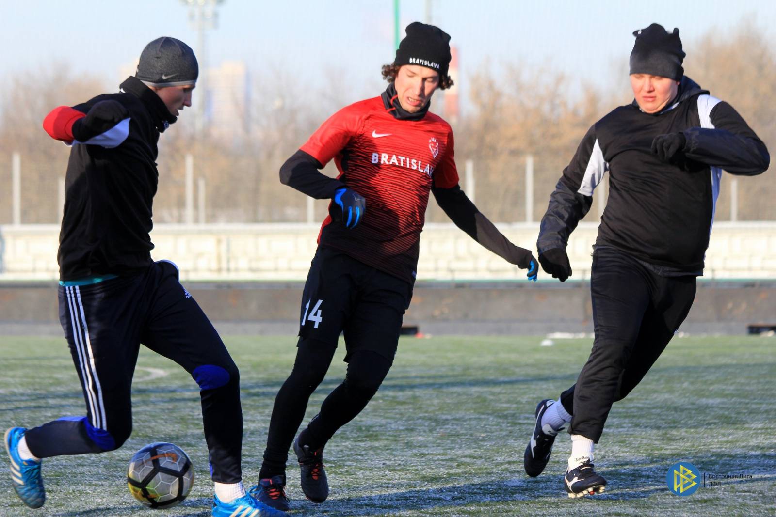 IMG_8586.jpg IMG_8586.jpg