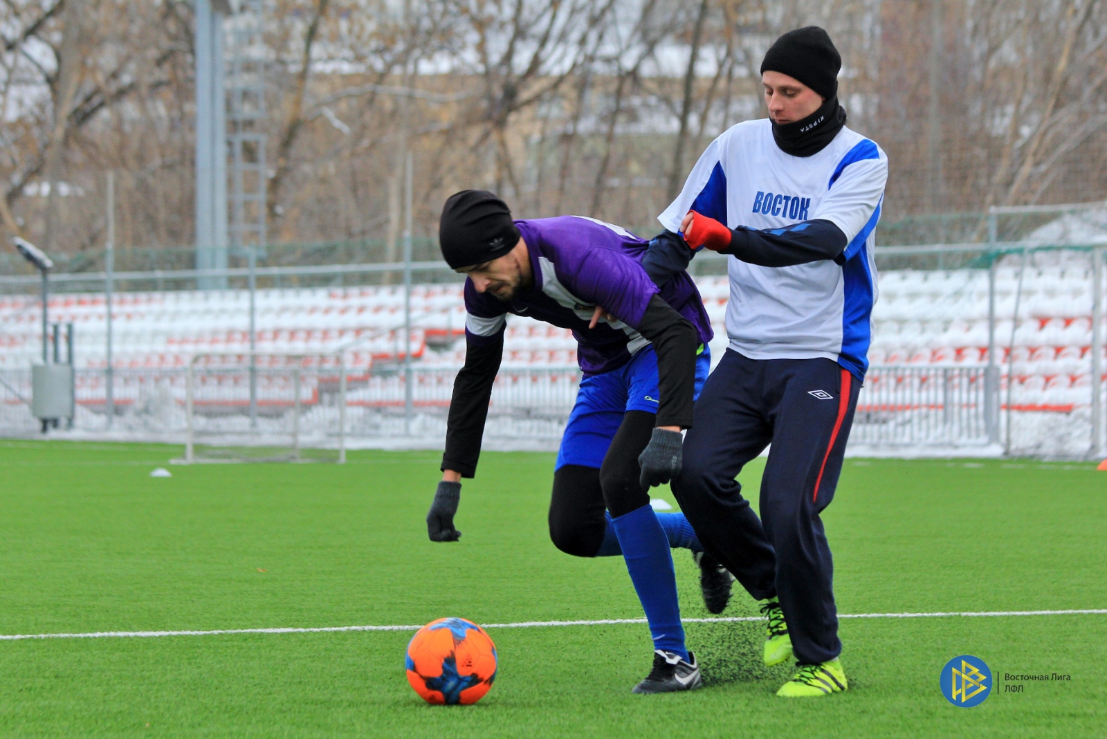 IMG_2310.jpg IMG_2310.jpg