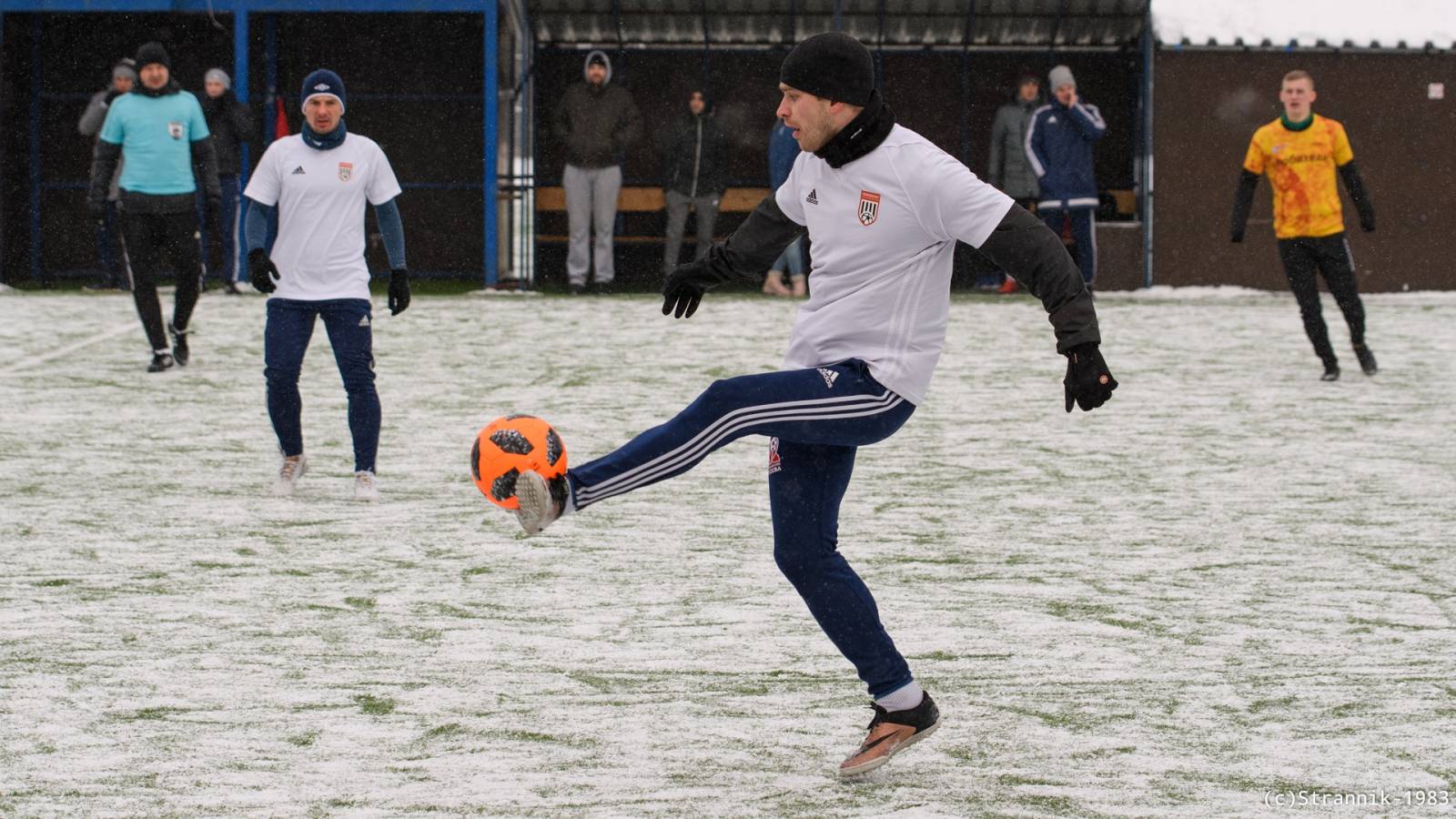 Lyubiteli Vs Championat 6