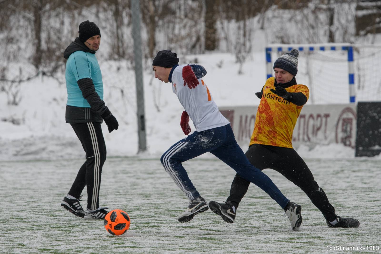 Lyubiteli Vs Championat 76