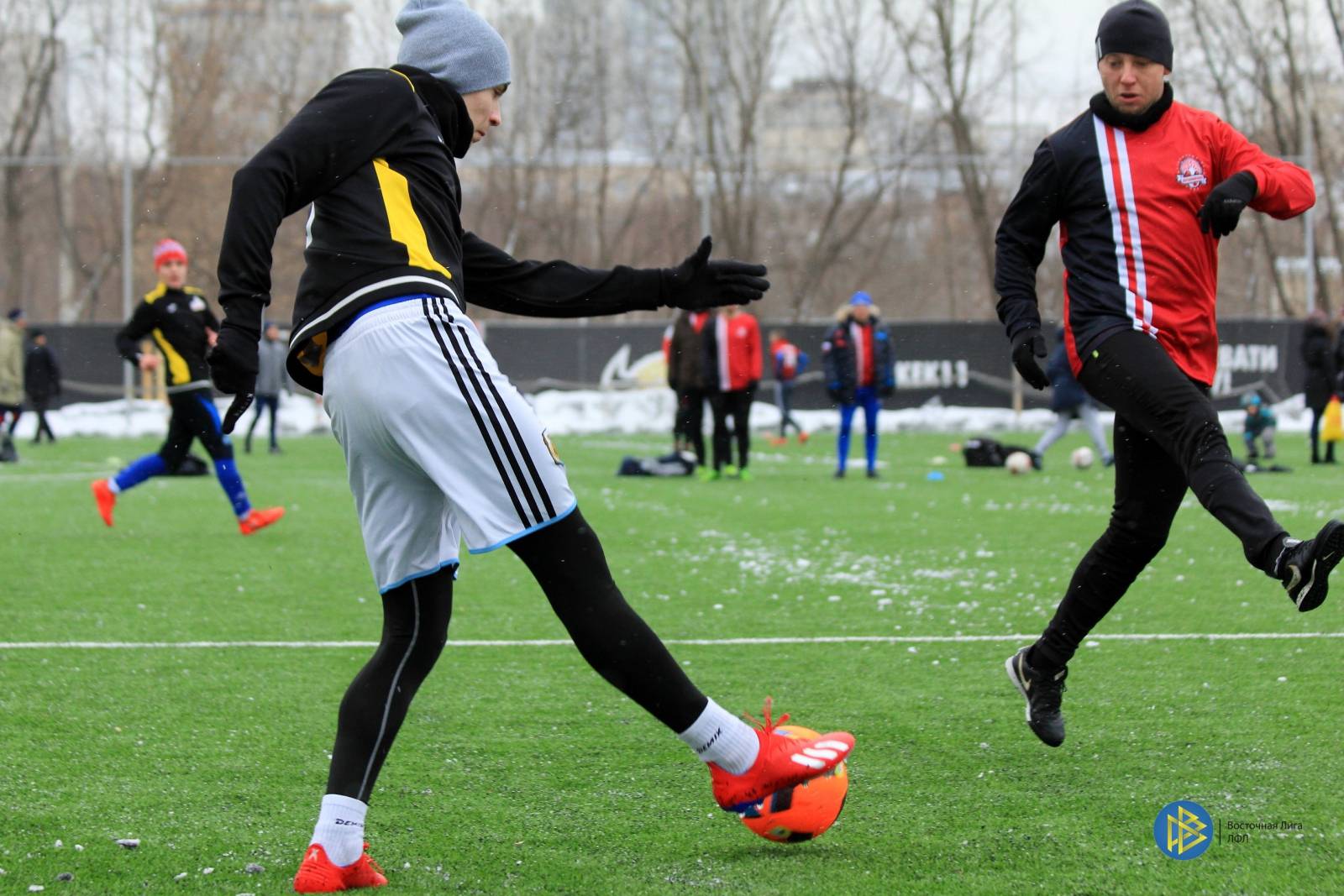 IMG_5779.jpg IMG_5779.jpg